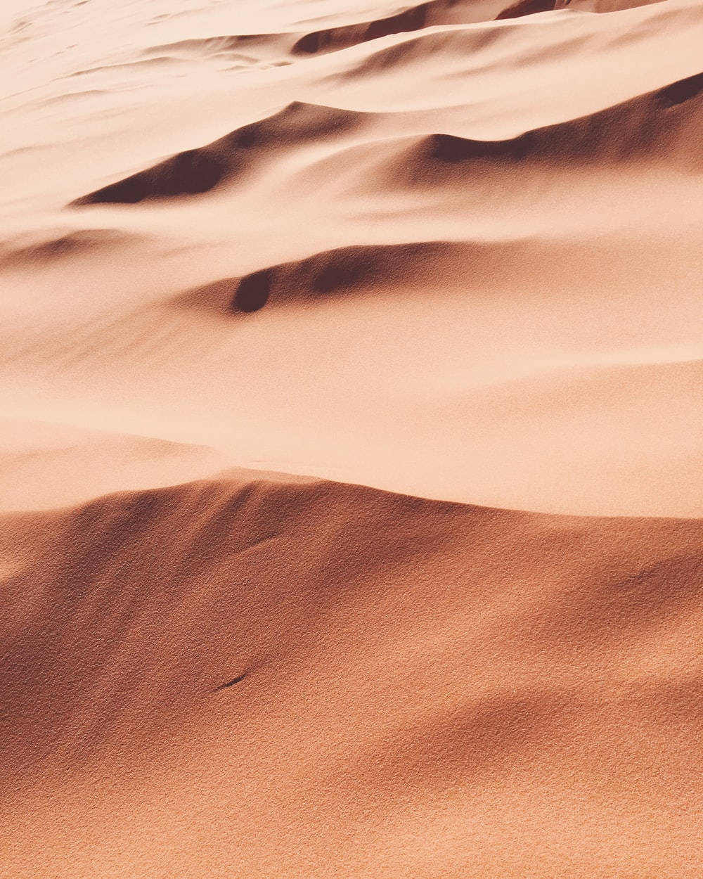 Dunas de arena estética marrón claro Fondos de pantalla