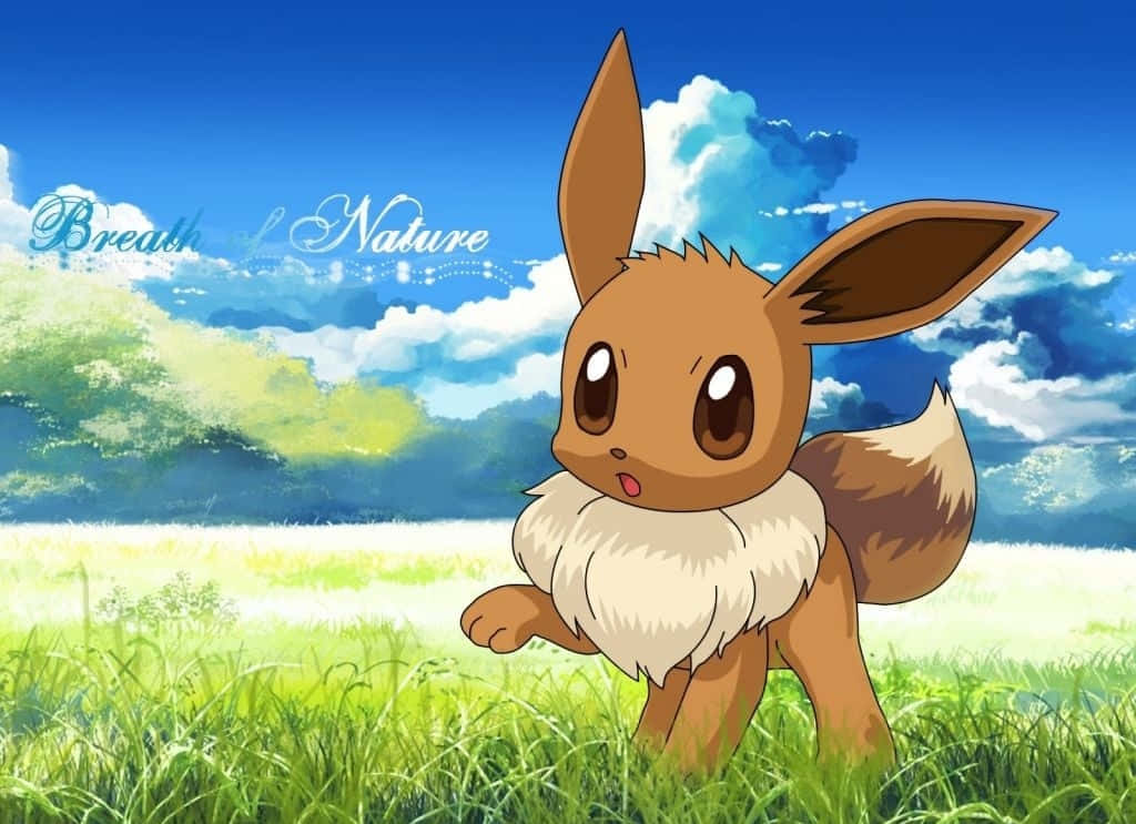 Eevee lindo en campo de hierba Pokémon Fondos de pantalla