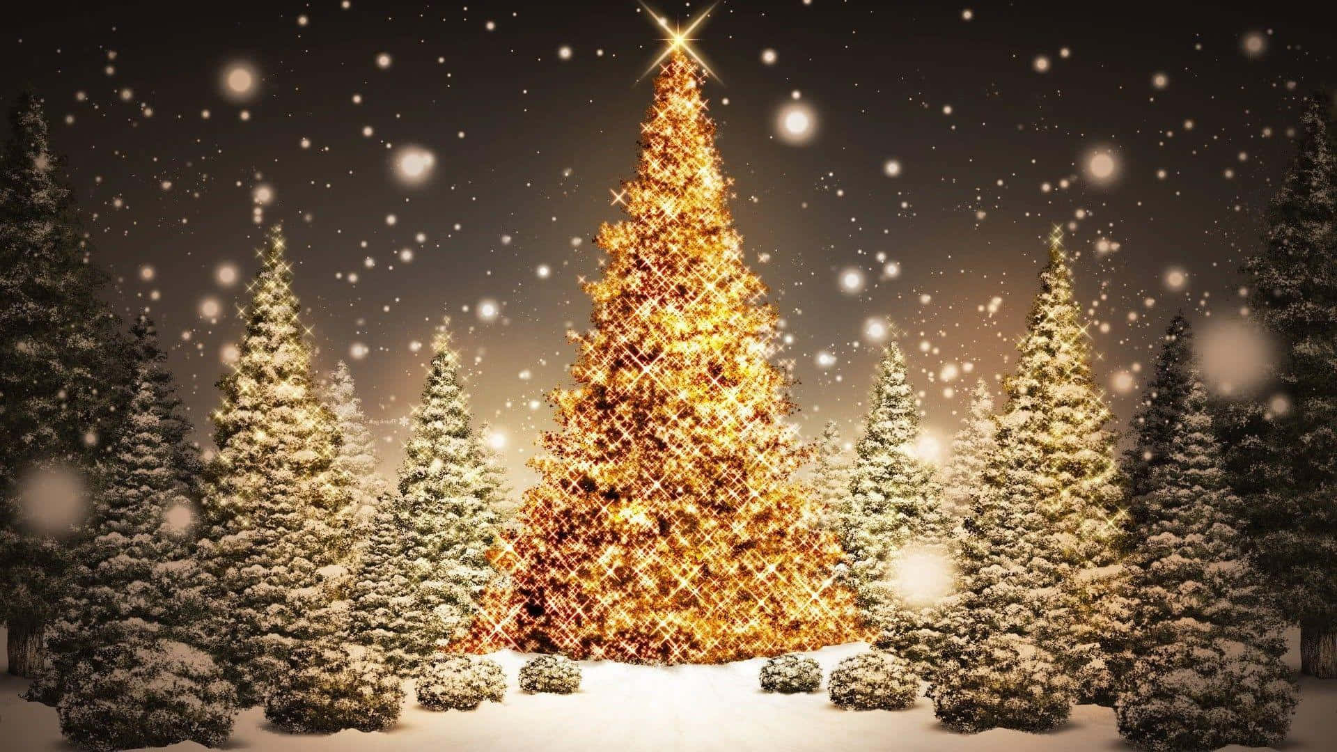 El árbol de Navidad perfecto para iluminar tu hogar Fondos de pantalla
