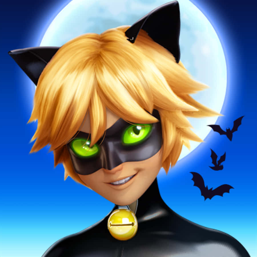 El Atractivo Cat Noir Fondos de pantalla