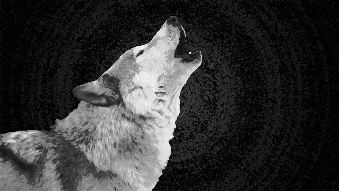 El Aullido de un Lobo Salvaje Fondos de pantalla