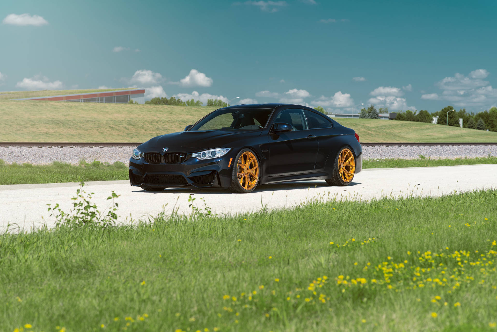 Fondo de pantalla de un BMW M4 F82 negro en una carretera con césped