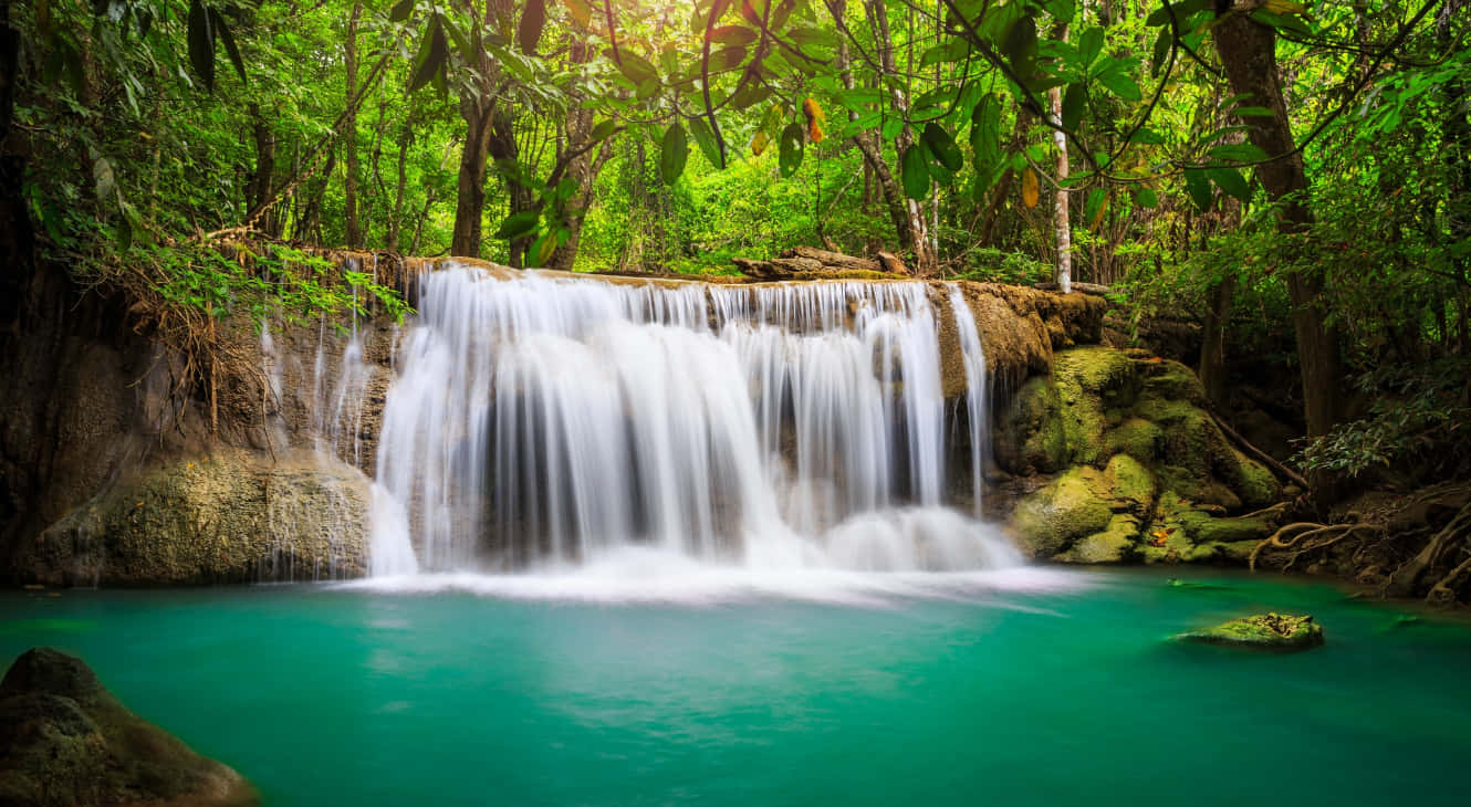 El Esplendor de una Cascada Tropical Fondos de pantalla
