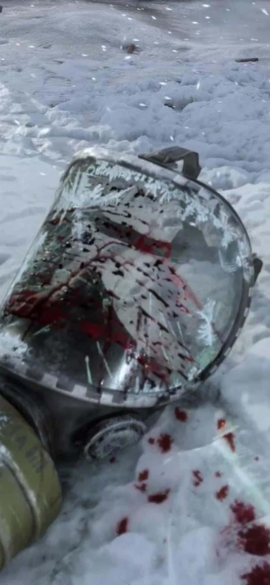 El exuberante paisaje postapocalíptico de Metro Exodus Fondos de pantalla