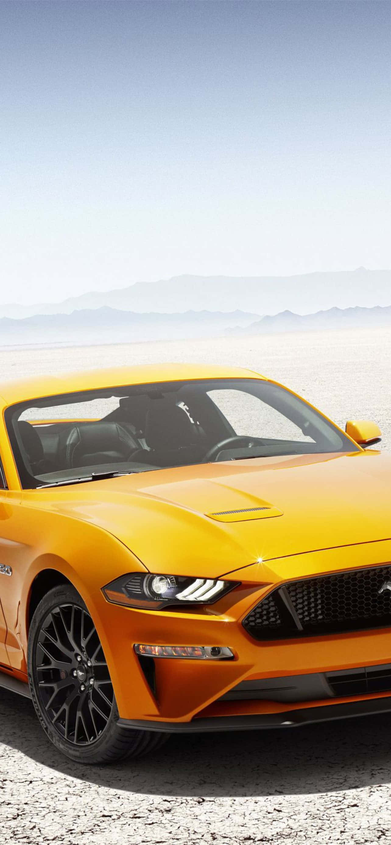 el ford mustang gt 2019 se muestra en el desierto Fondos de pantalla
