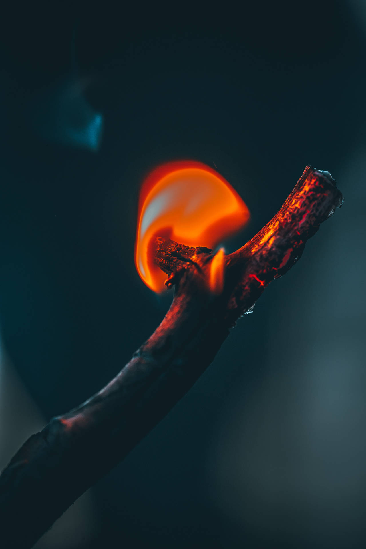 Rama siendo consumida por un pequeño fuego con llamas rojo anaranjadas en una noche oscura.