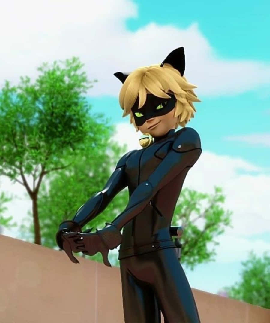 El gato más genial de la ciudad - Cat Noir Fondos de pantalla
