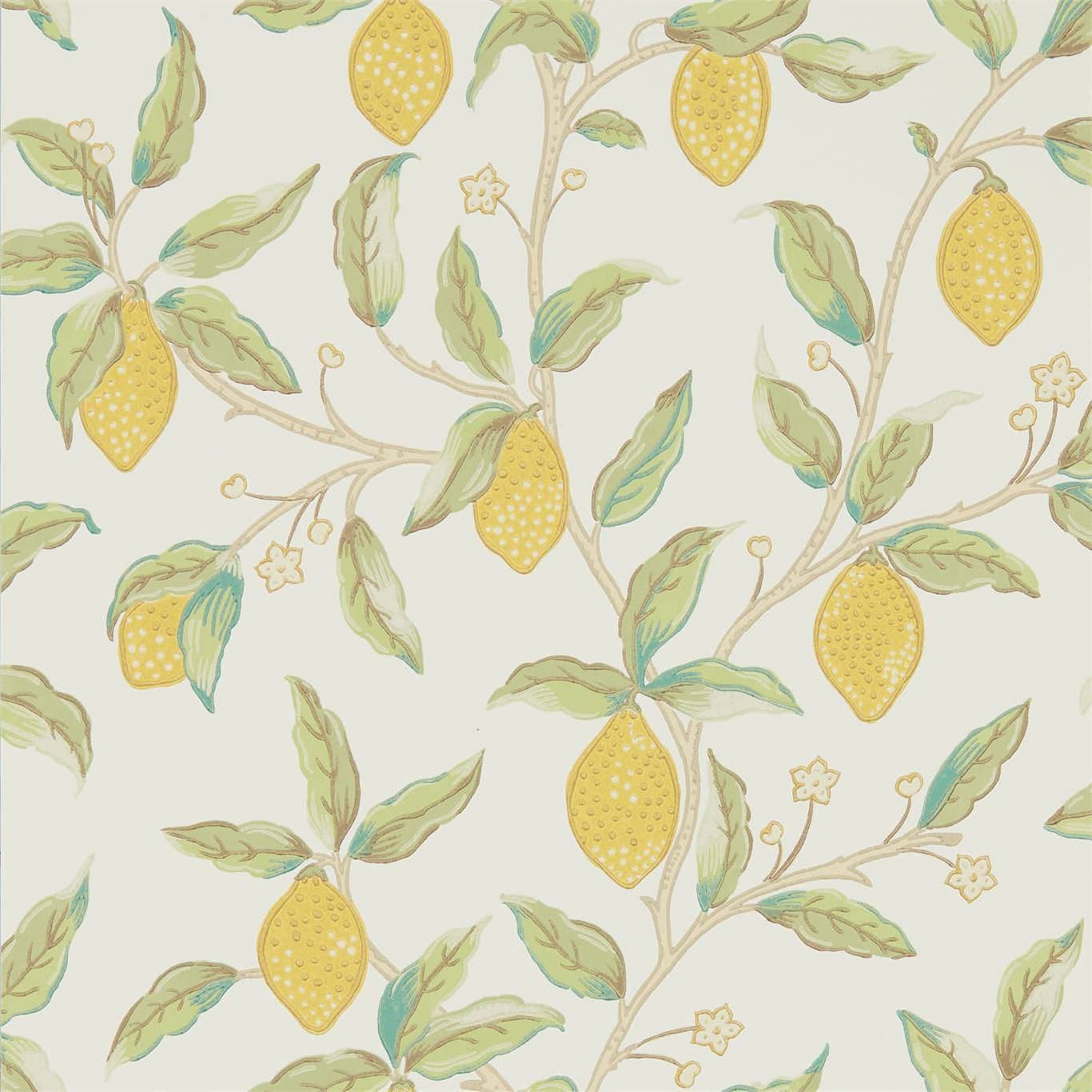 El poder de la naturaleza - Una hoja de limonero Fondos de pantalla