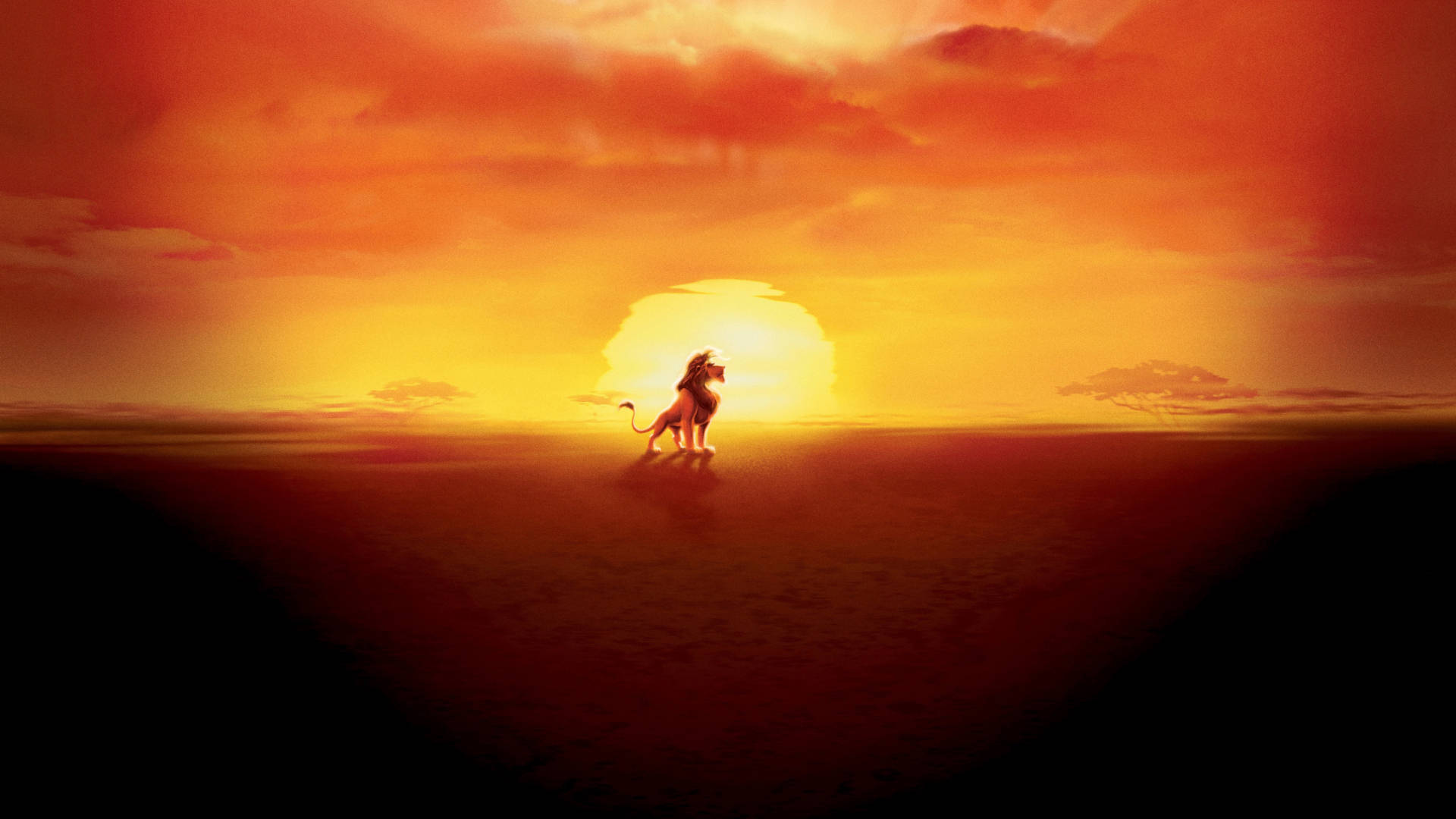 El Rey León Simba Atardecer Fondos de pantalla