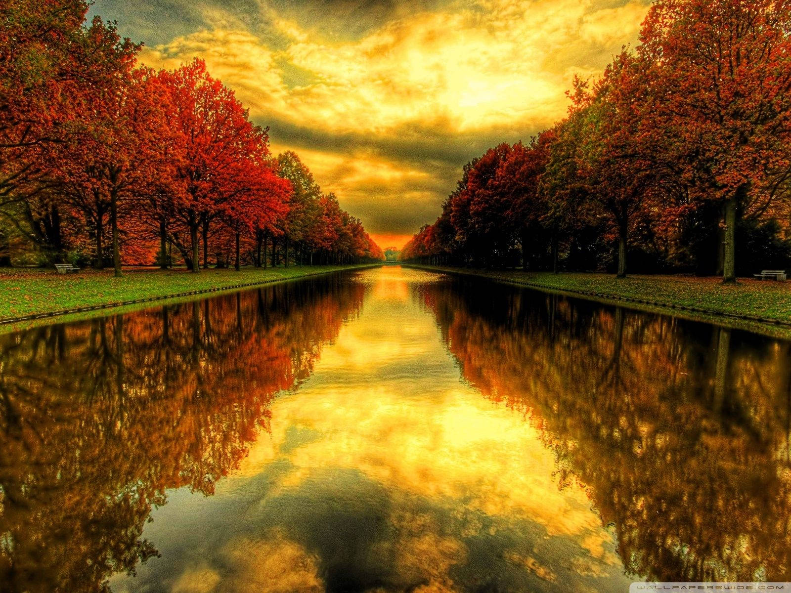 El río se tiñe de rojo en la temporada de otoño Fondos de pantalla