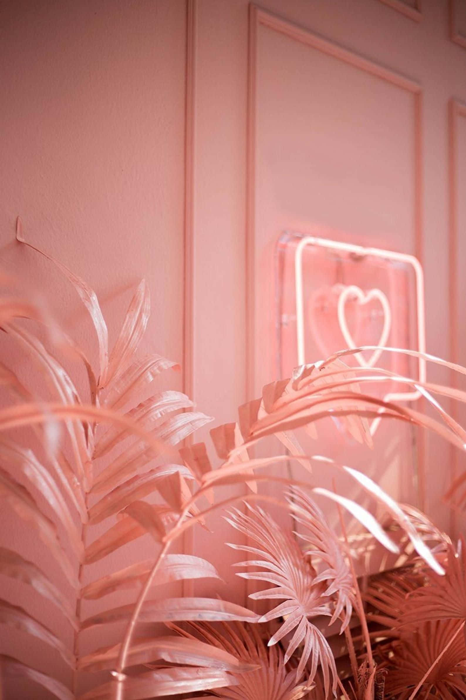 El Rosa es el Nuevo Tú Fondos de pantalla