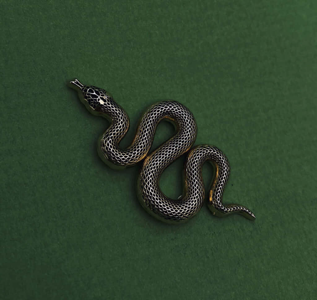 El Secreto, la Magia Antigua de la Estética Slytherin Fondos de pantalla
