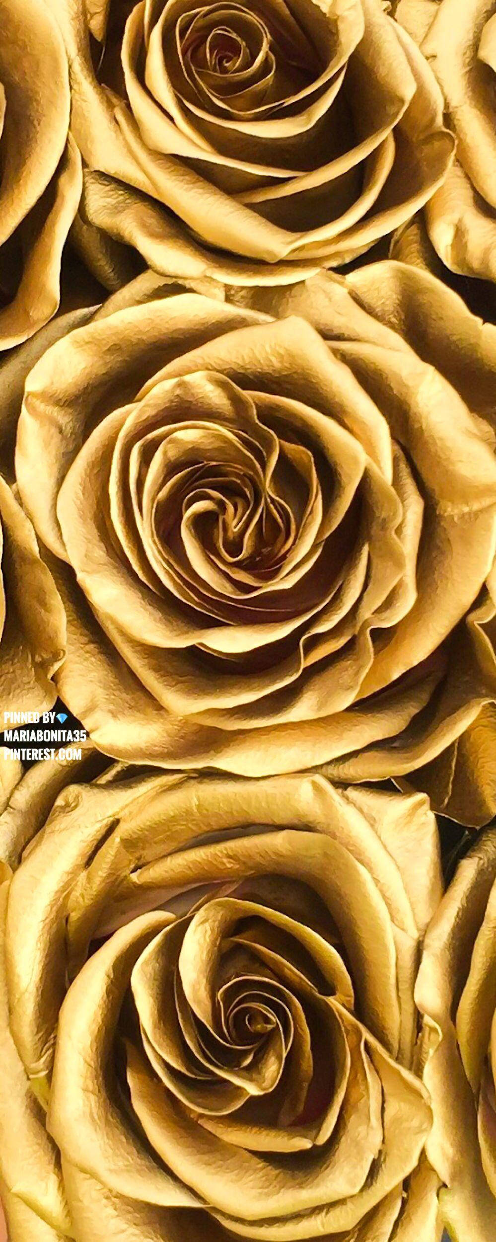 Elegancia Cautivadora de la Estética Dorada Fondos de pantalla