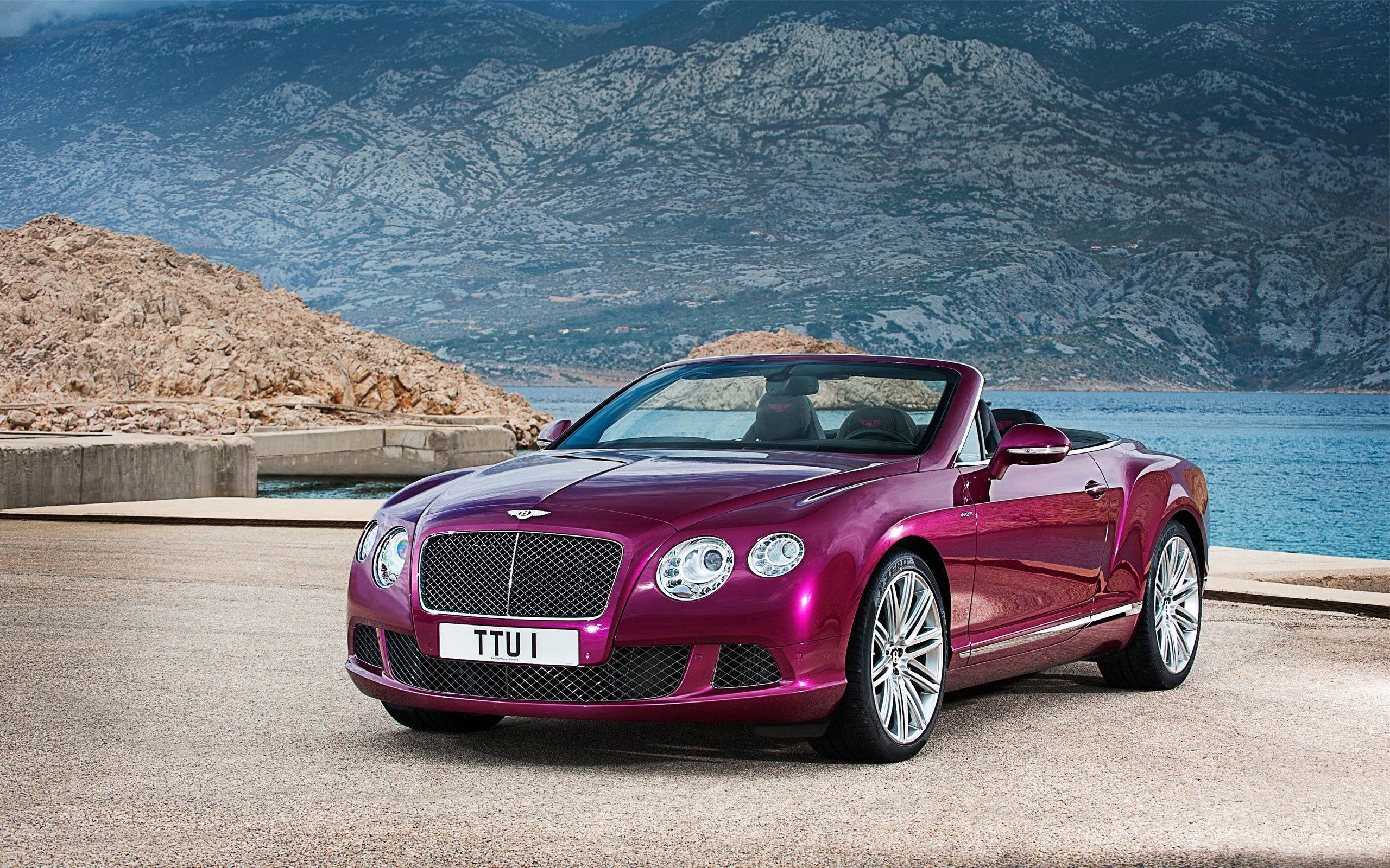 Elegancia clásica en el Bentley Continental GT 2014 Fondos de pantalla