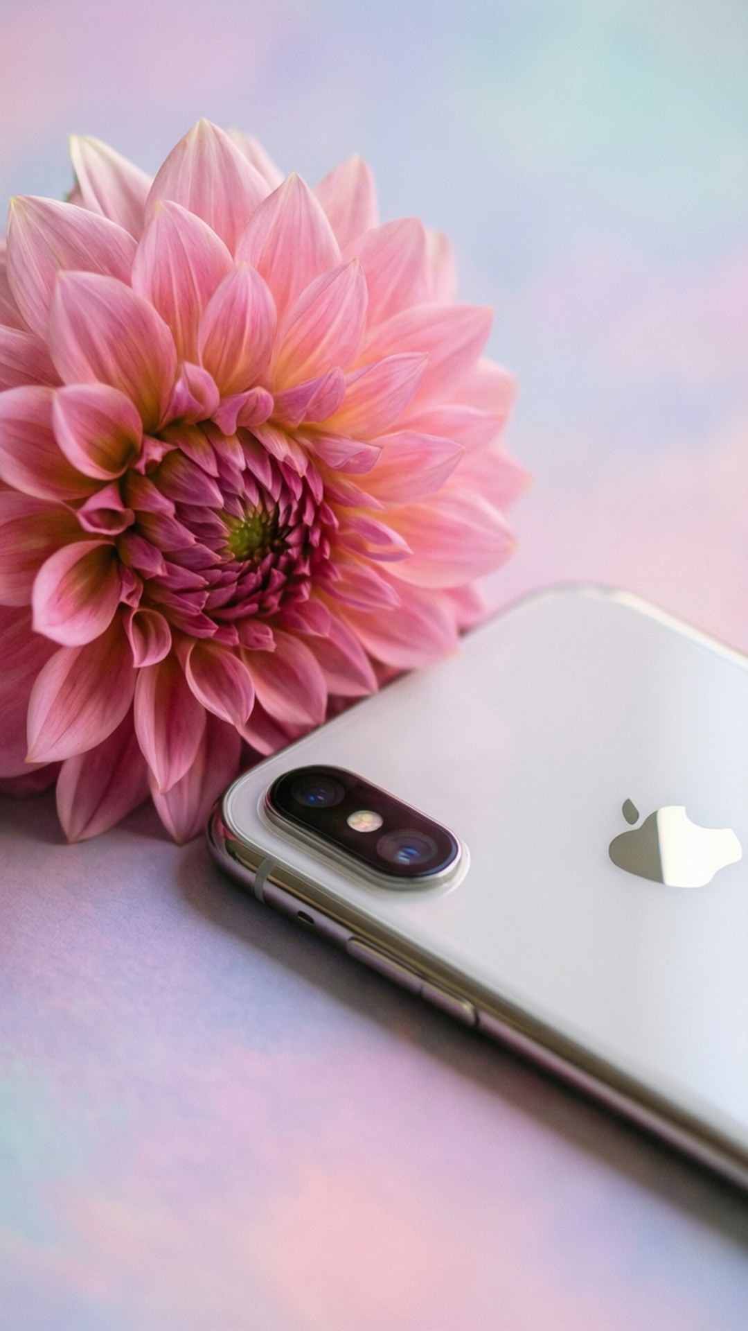 Elegancia Floral iPhone XR Fondos de pantalla