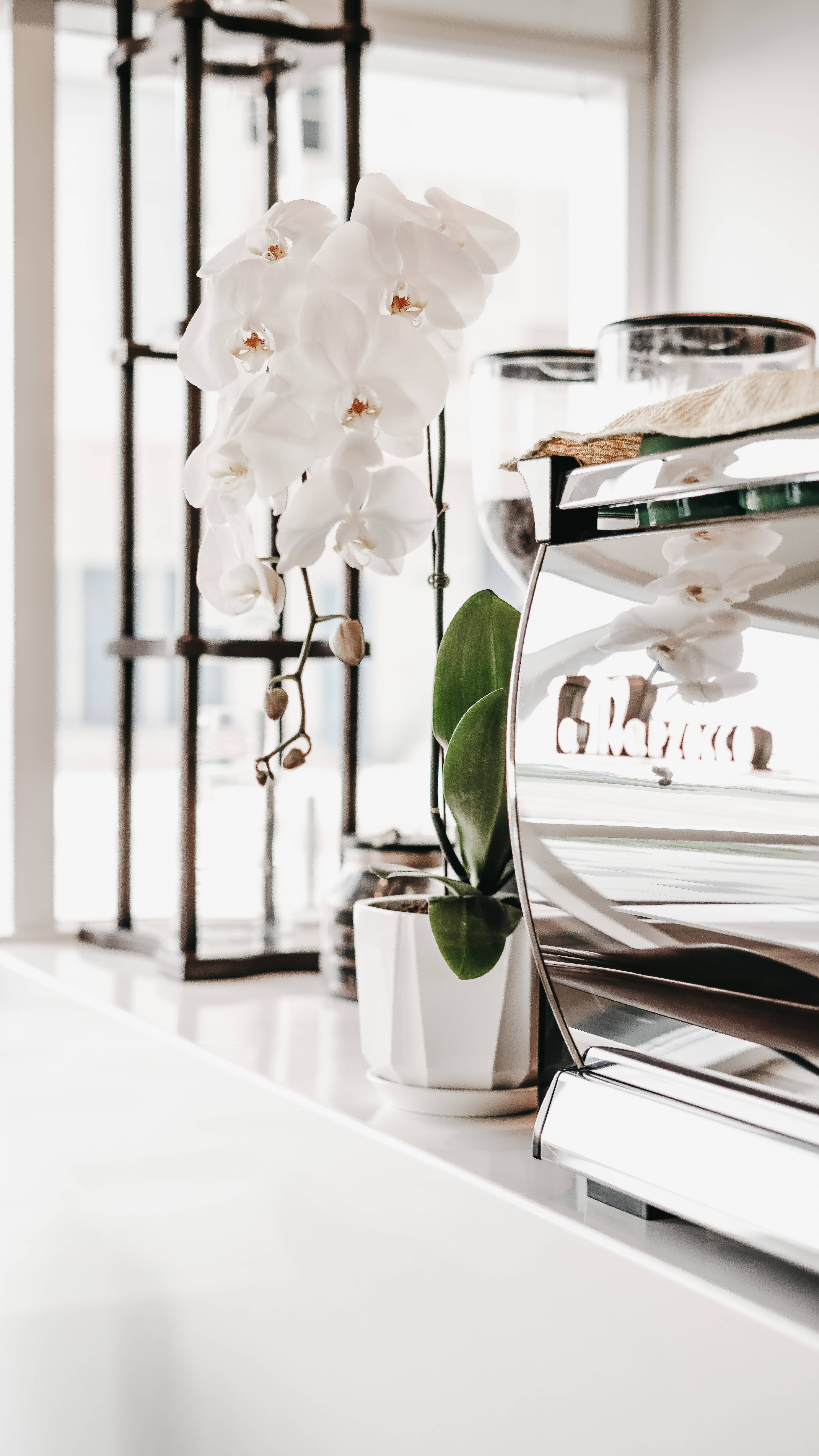 Elegancia Sutil: Diseño Minimalista Beige con Motivo Blanco Fondos de pantalla