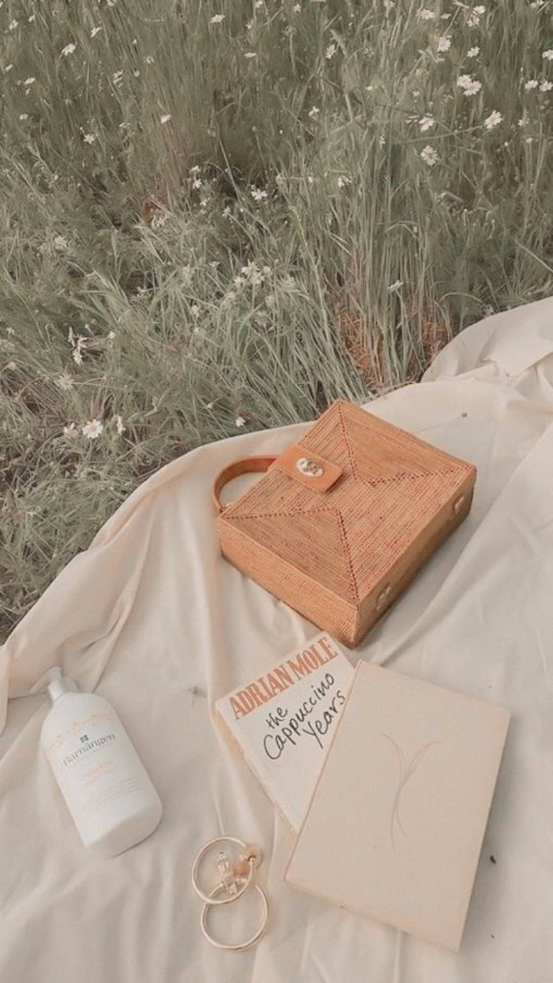 Elegancia Sutil - Bolsa y Libro Estética Beige Fondos de pantalla