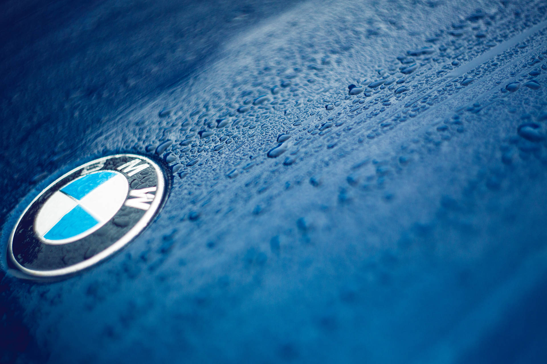 Fondo de pantalla en primer plano del logotipo de BMW en un auto azul con gotas