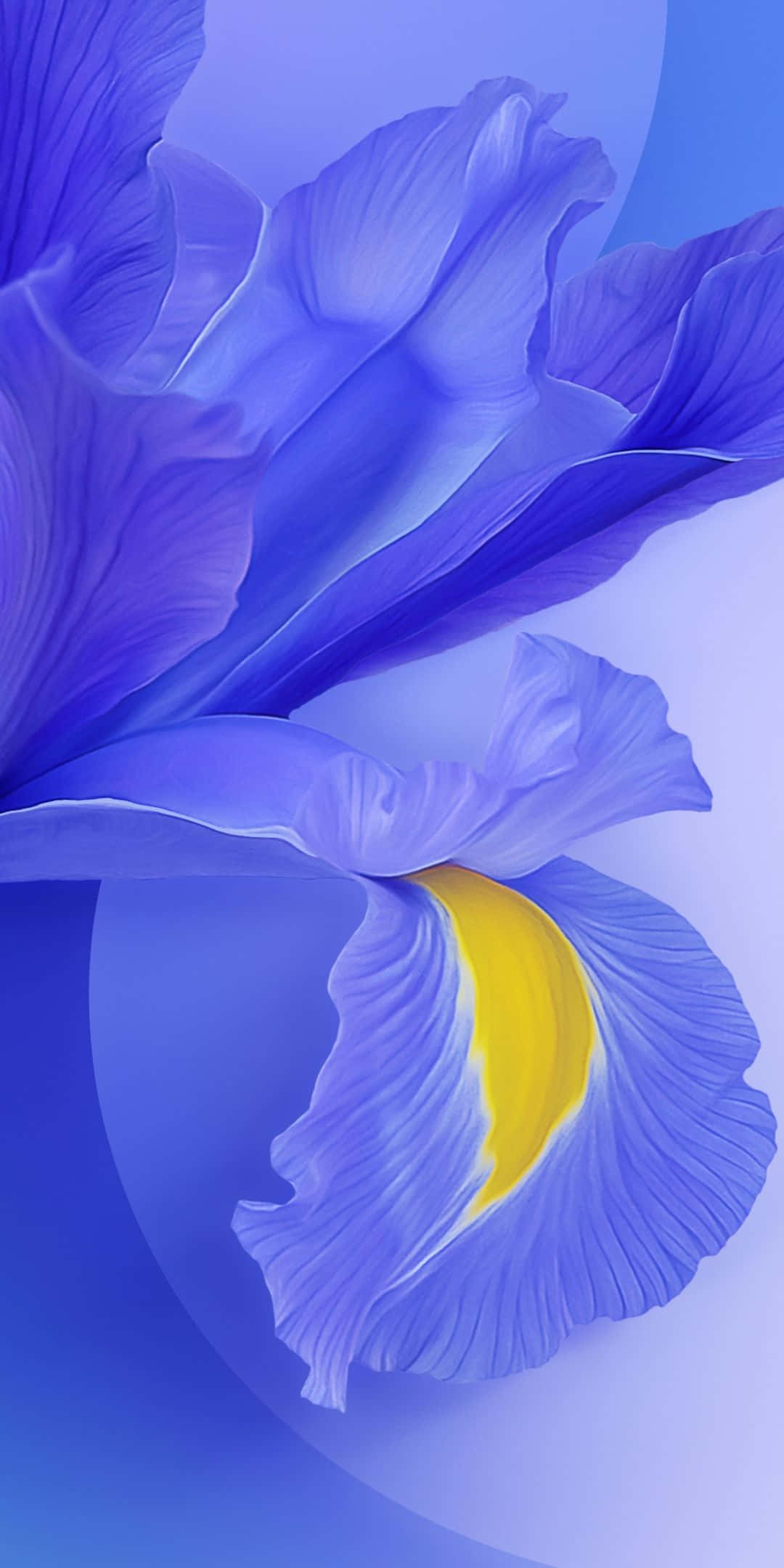 Elegante smartphone Xiaomi con fondo degradado Fondos de pantalla