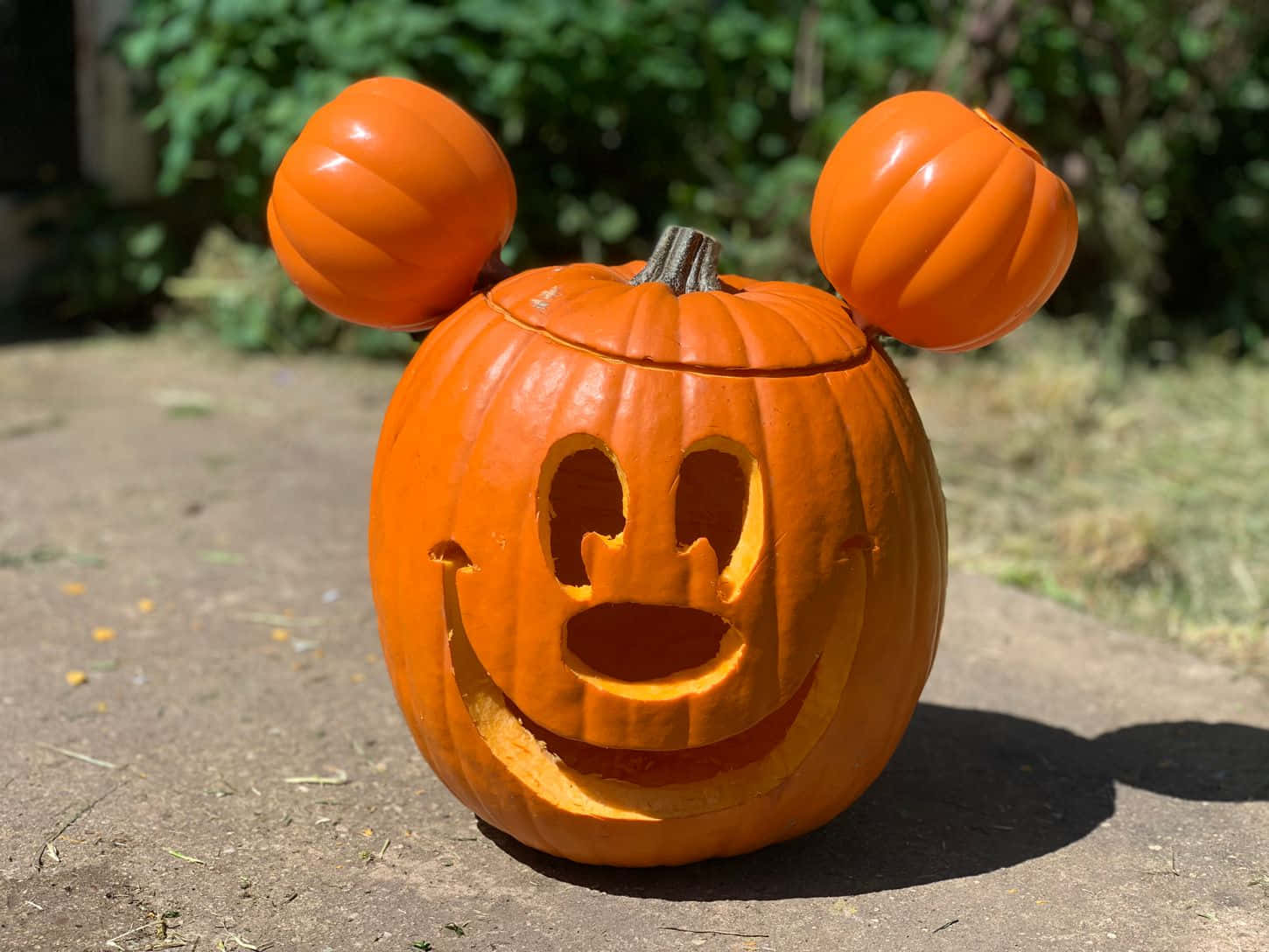 Encantadora Calabaza de Halloween Brillante Fondos de pantalla