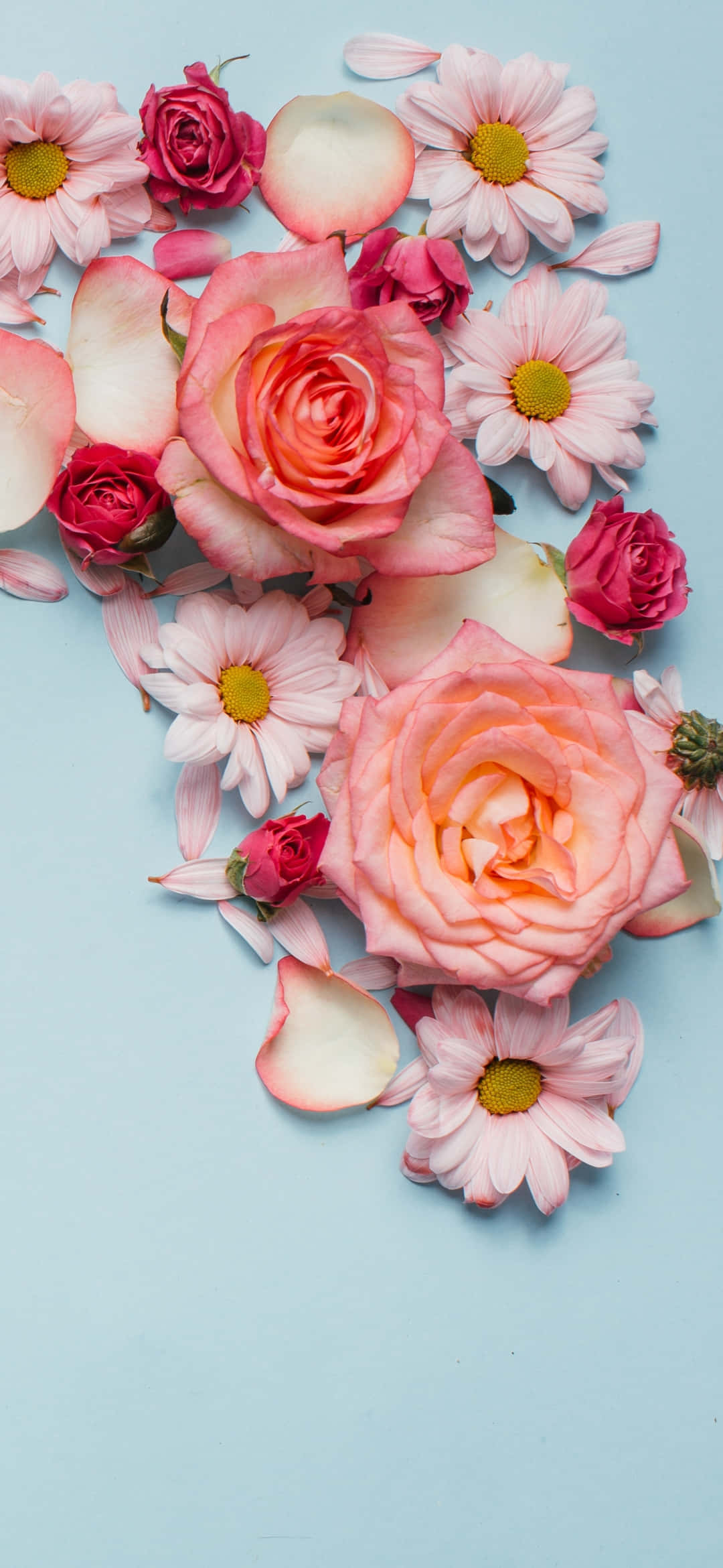 Encantadoras Flores Rosadas: Un Fondo de Pantalla Refrescante Fondos de pantalla