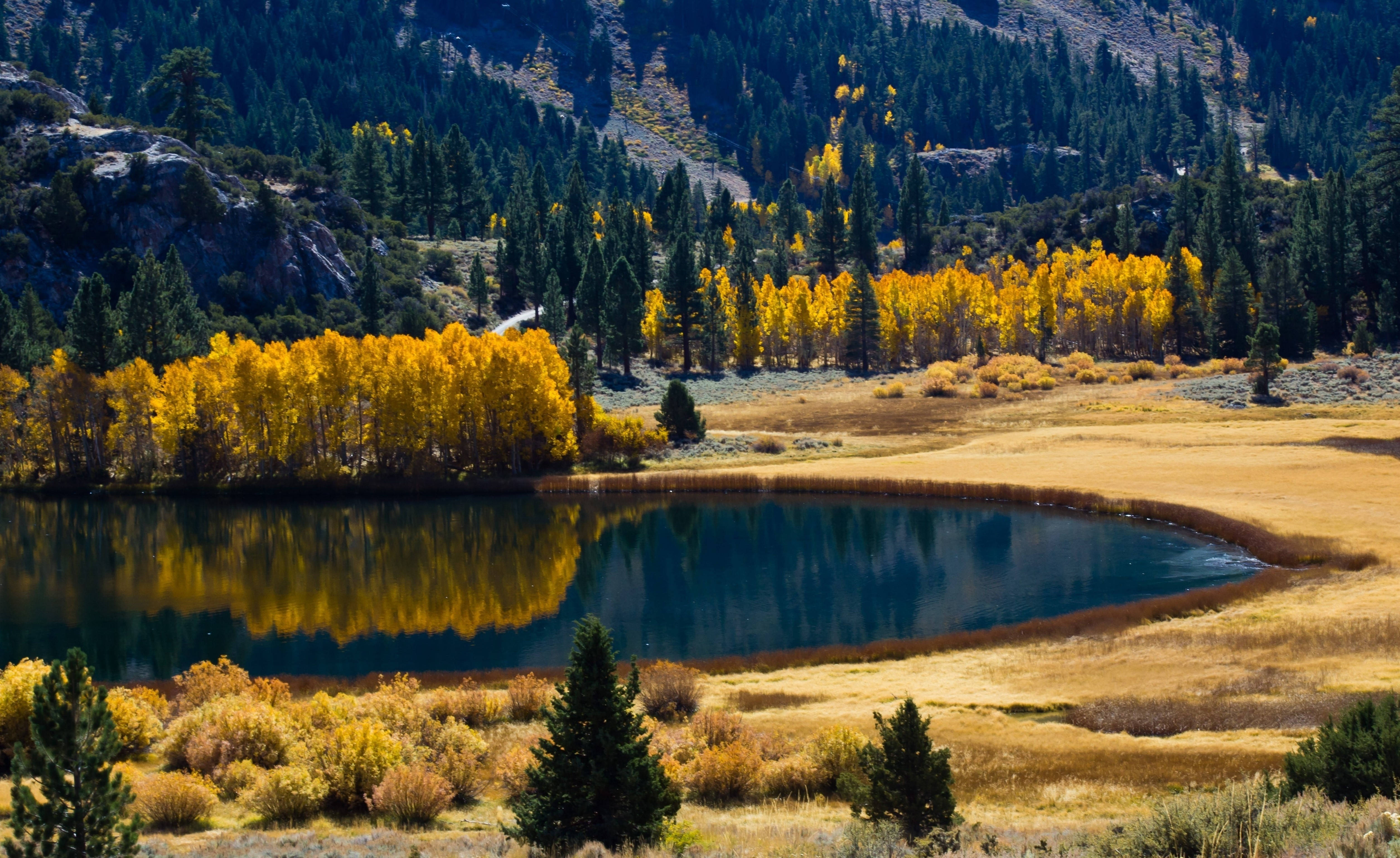 Encuentra la dicha en la belleza del otoño con una caminata por las montañas Fondos de pantalla