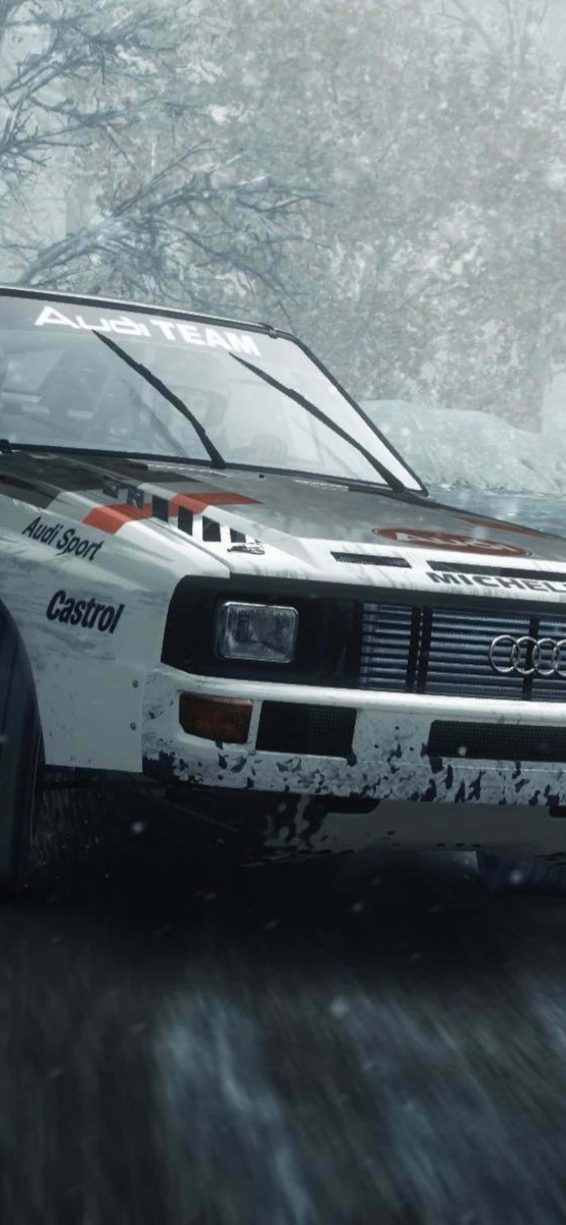 Enfréntate al Mundo con el iPhone Xs Dirt Rally Fondos de pantalla