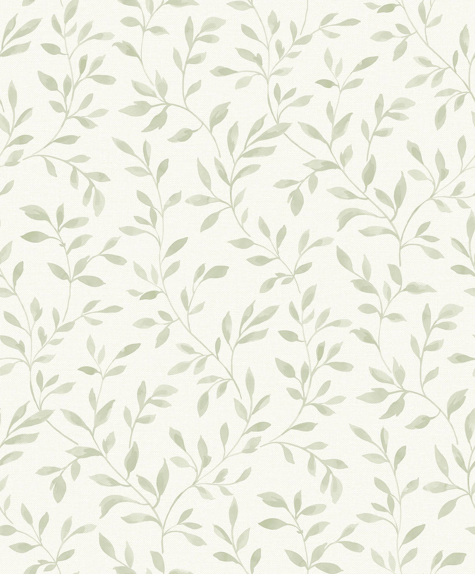 Enredaderas estéticas verde salvia Fondos de pantalla
