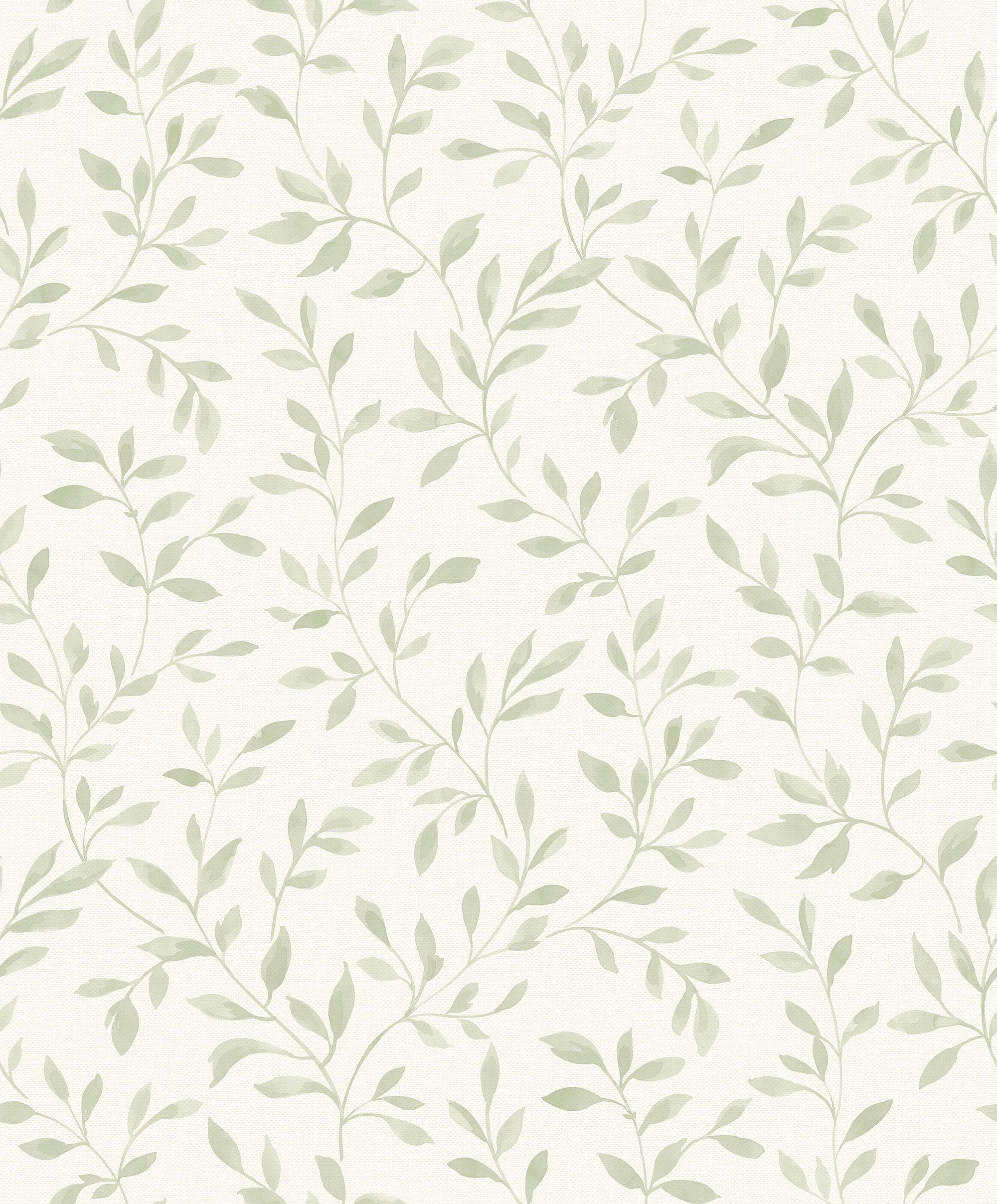 Enredaderas estéticas verde salvia Fondos de pantalla