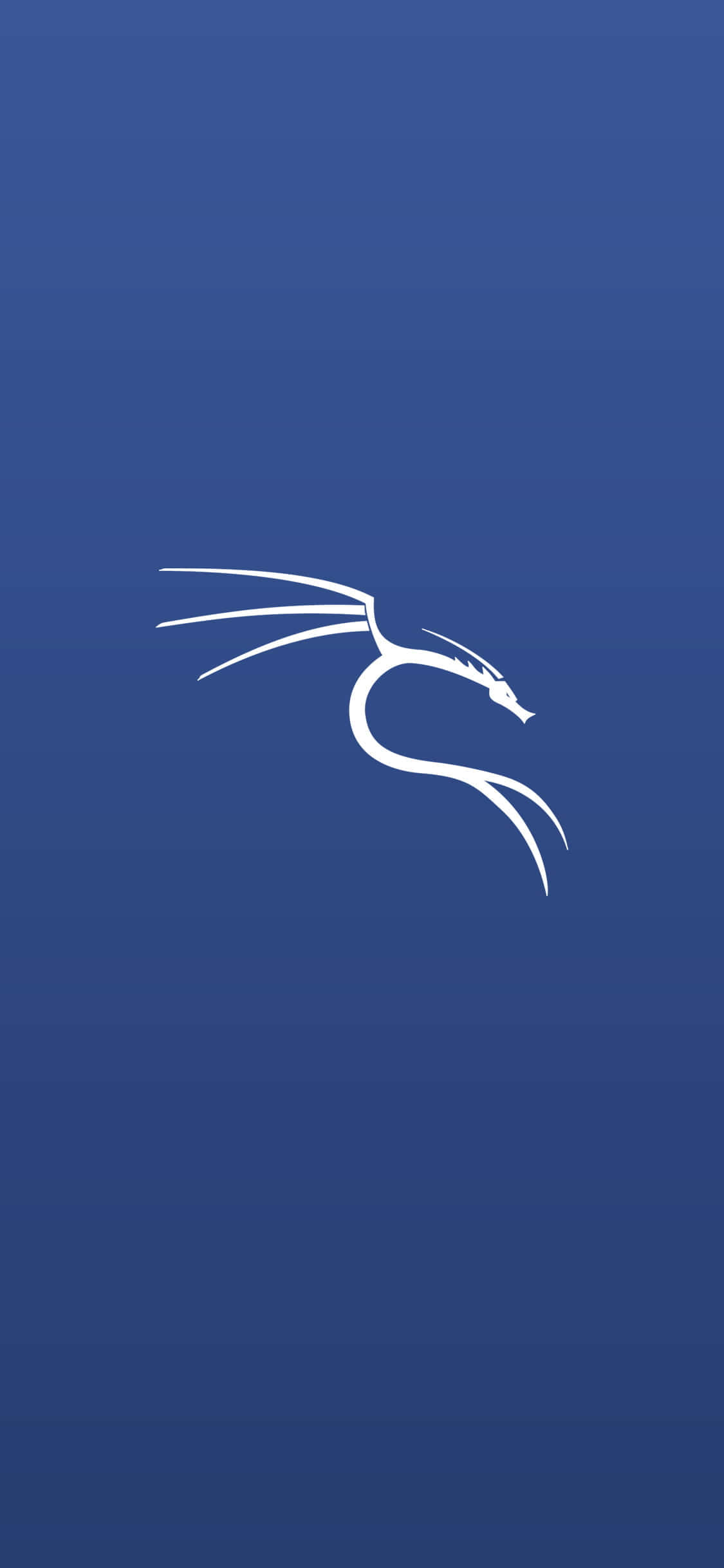 Entorno Matrix de Kali Linux Fondos de pantalla