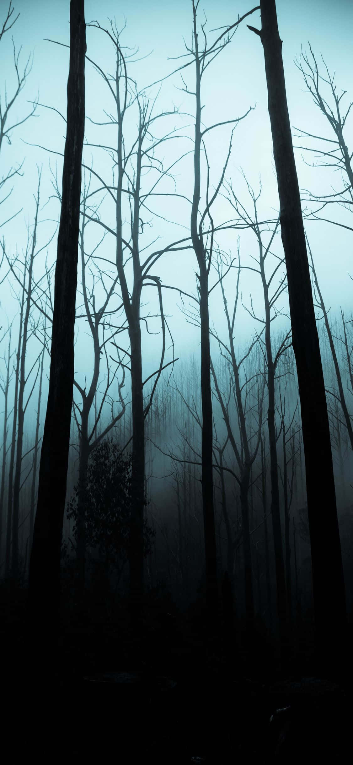Entra en el espíritu tenebroso con este fondo de pantalla personalizado para iPhone Fondos de pantalla