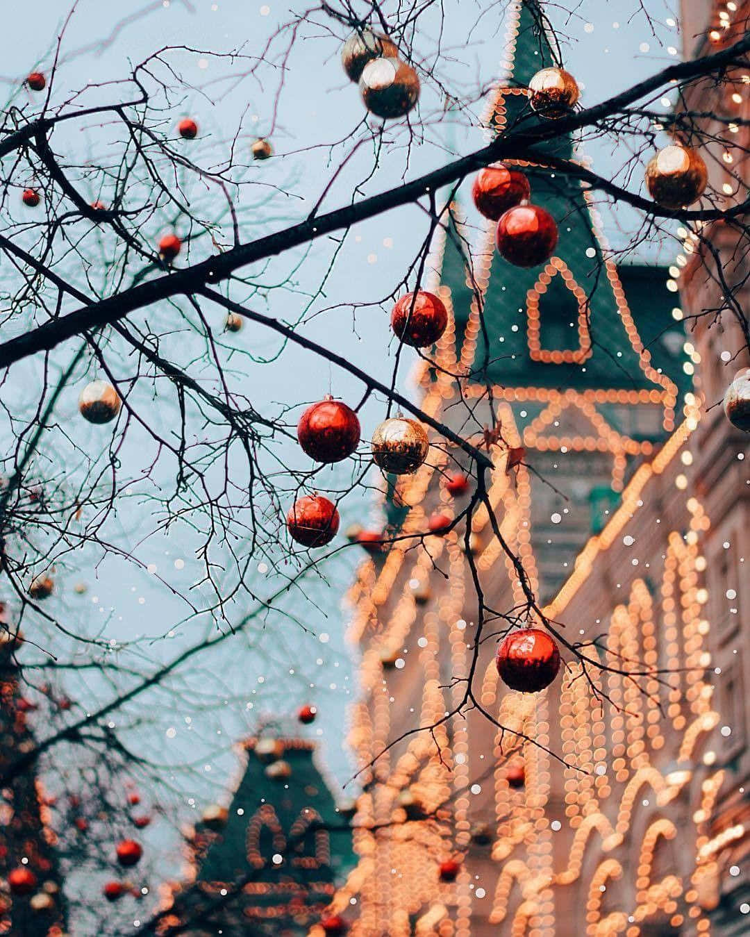 ¡Entra en el espíritu festivo con hermosas decoraciones invernales durante la temporada navideña! Fondos de pantalla