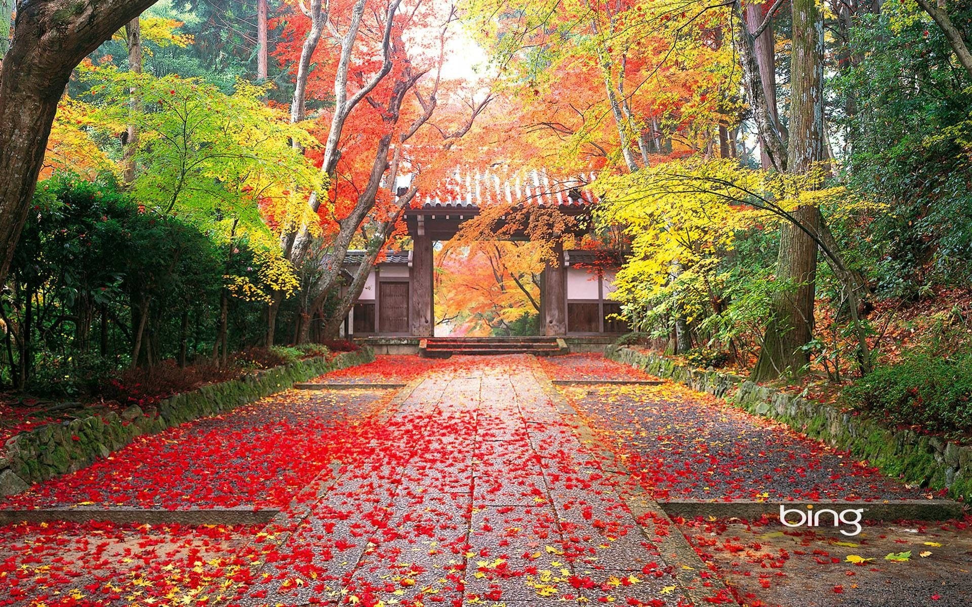 Entrada de Templo Natural 4k