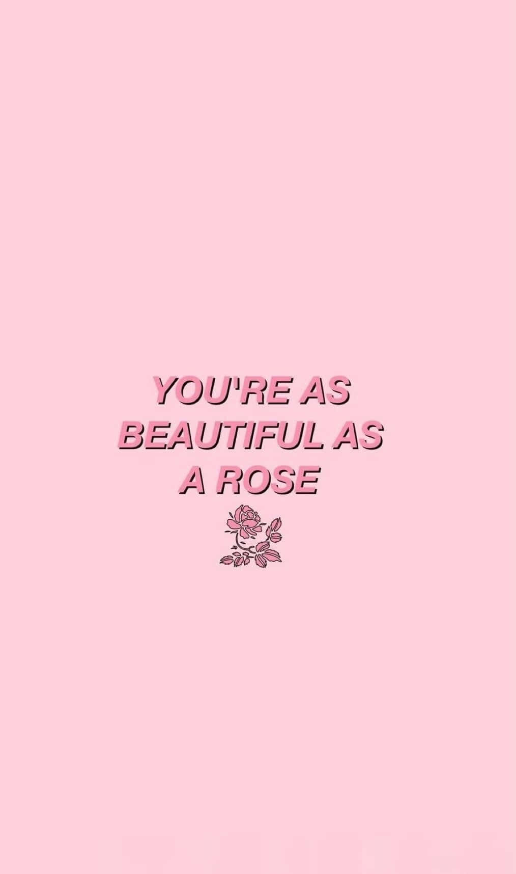 eres tan hermosa como una rosa fondo de pantalla Fondos de pantalla