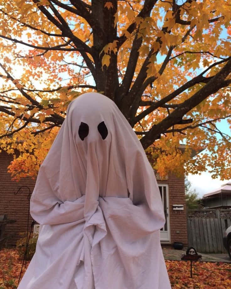 Es Halloween, ¡disfrázate y sé alguien más! Fondos de pantalla