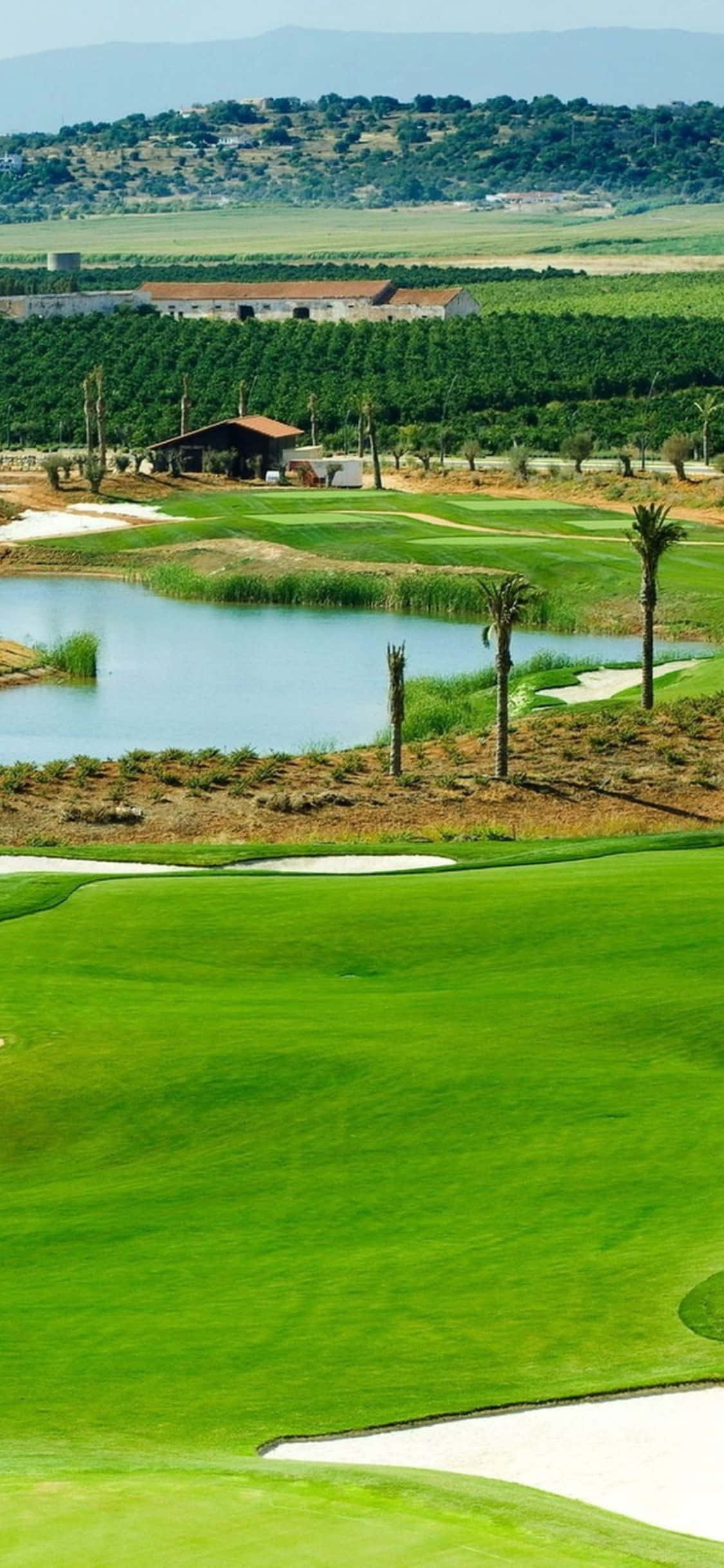 ¡Es hora de jugar! Disfruta tu partido de golf en las exuberantes calles del campo de golf en tu iPhone X Fondos de pantalla
