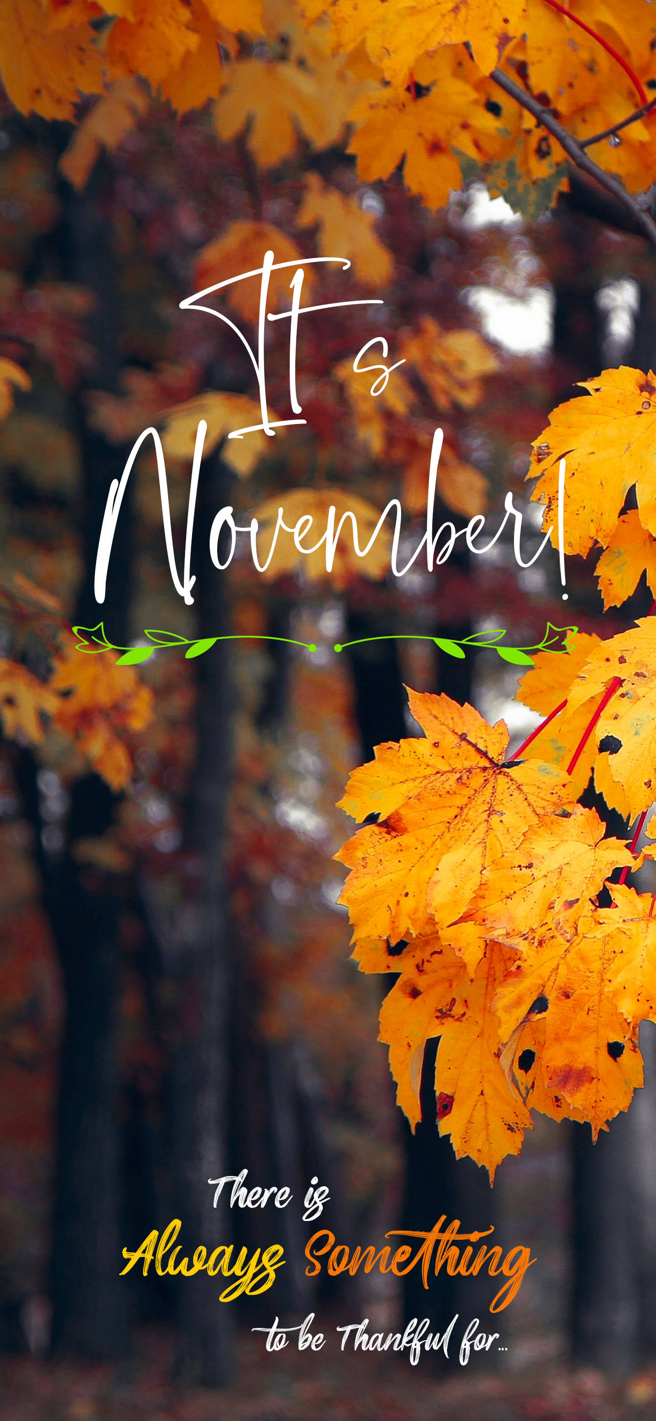 Es Noviembre Árboles de Otoño Cita Fondos de pantalla