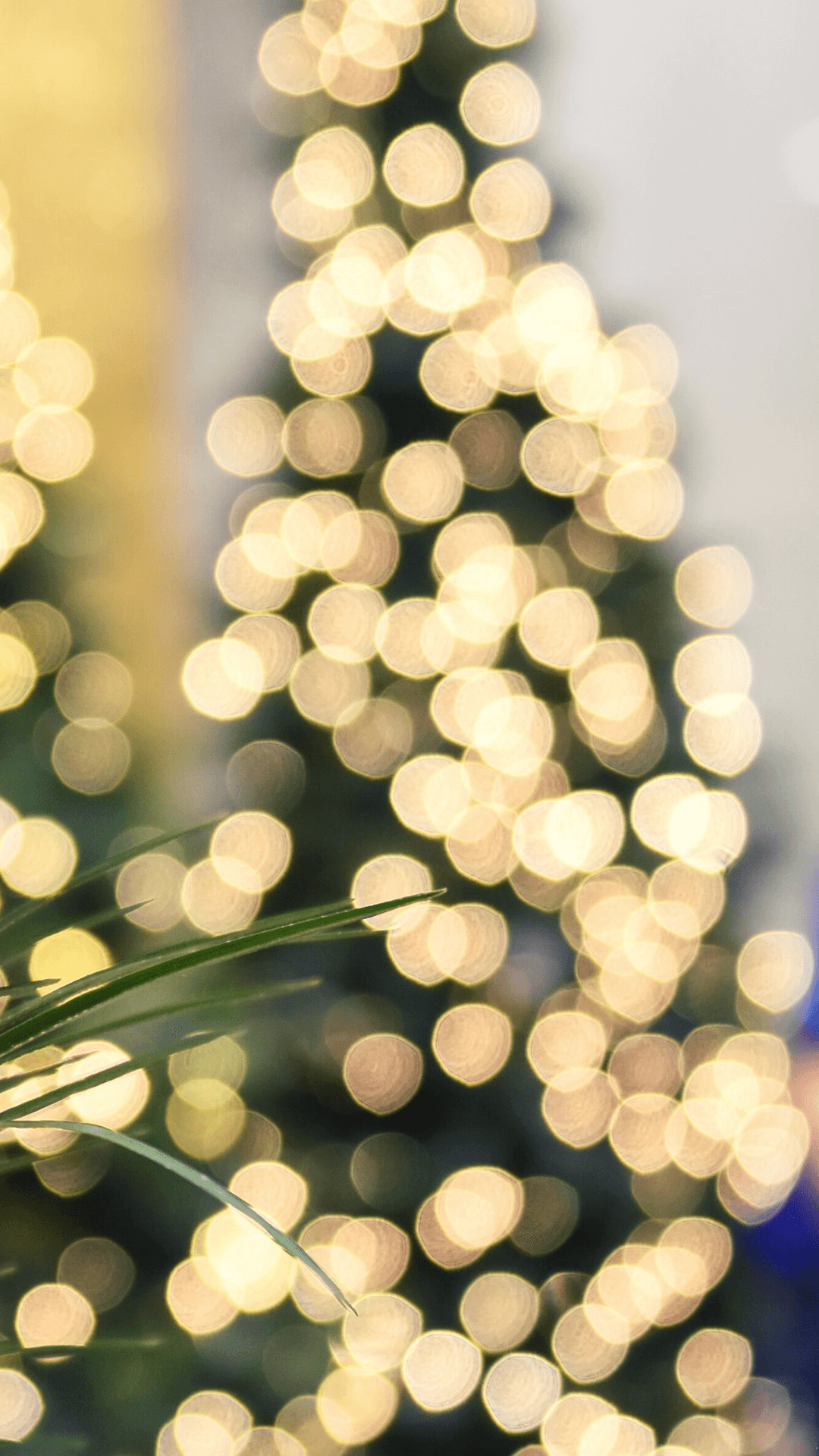 Es temporada de un teléfono con temática navideña festiva Fondos de pantalla