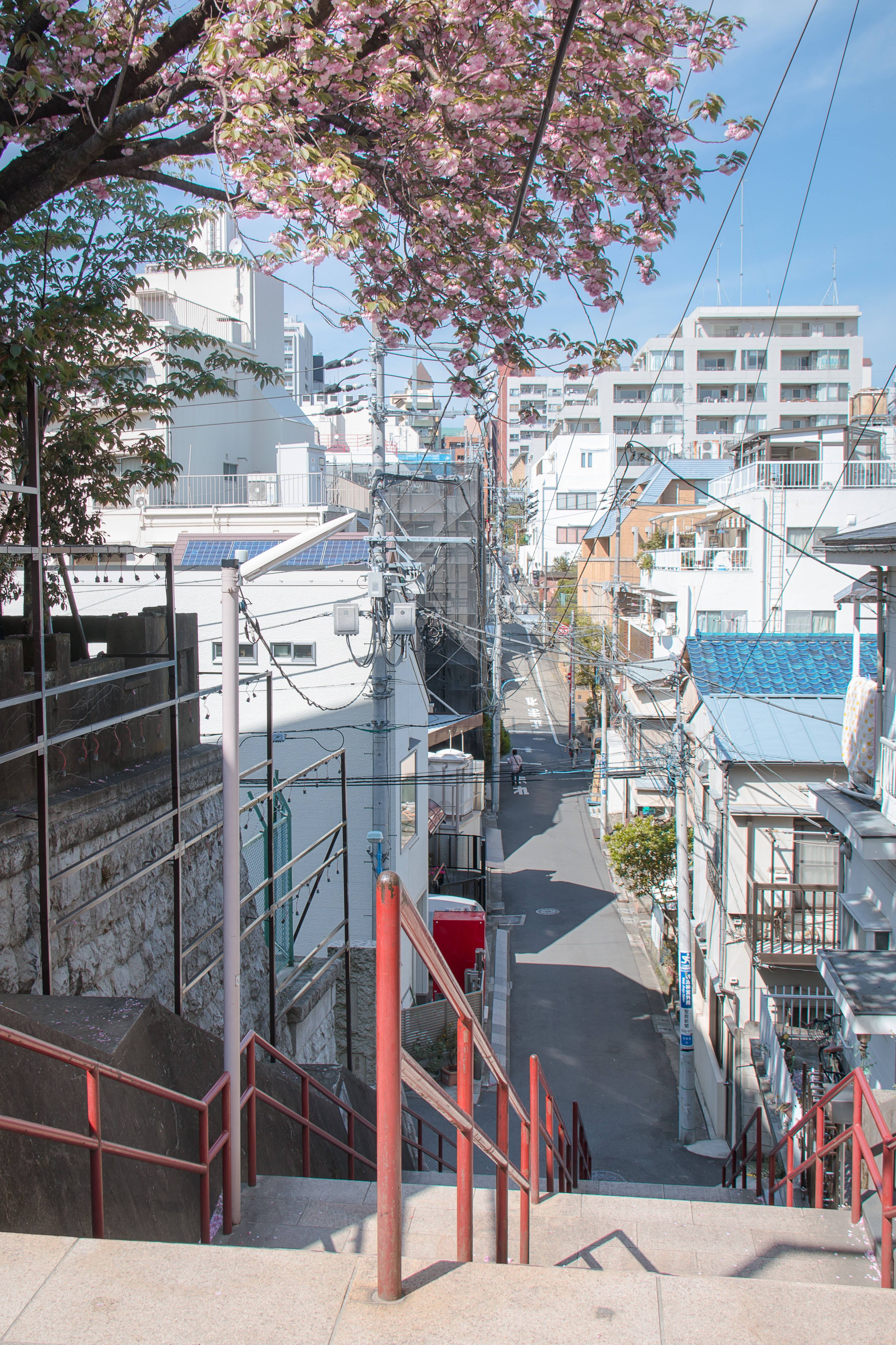 Escalera del Santuario Suga Jinja en HD Japonés Fondos de pantalla