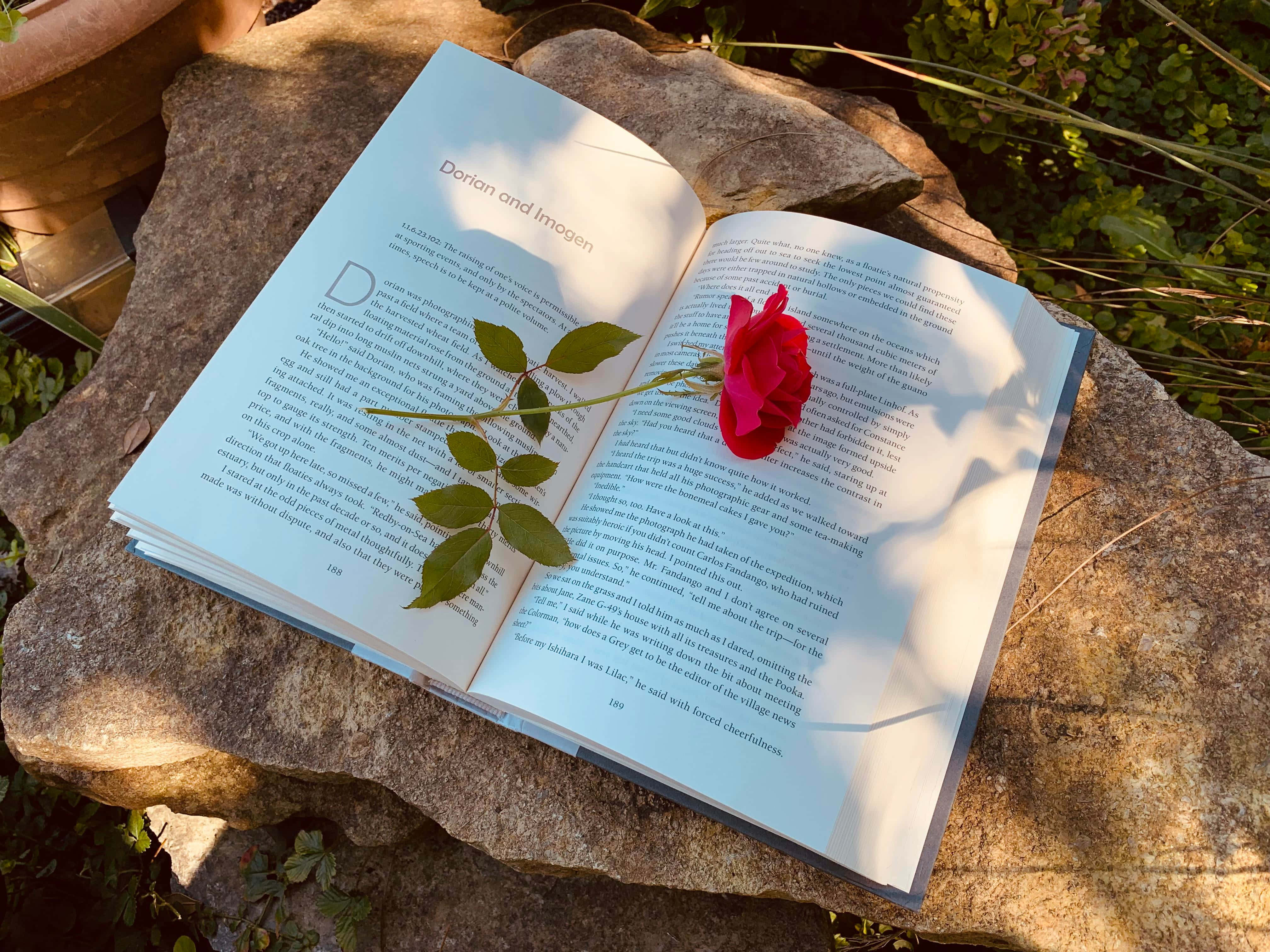 Escapa al mundo de los libros, con un toque de fantasía y relajación. Fondos de pantalla