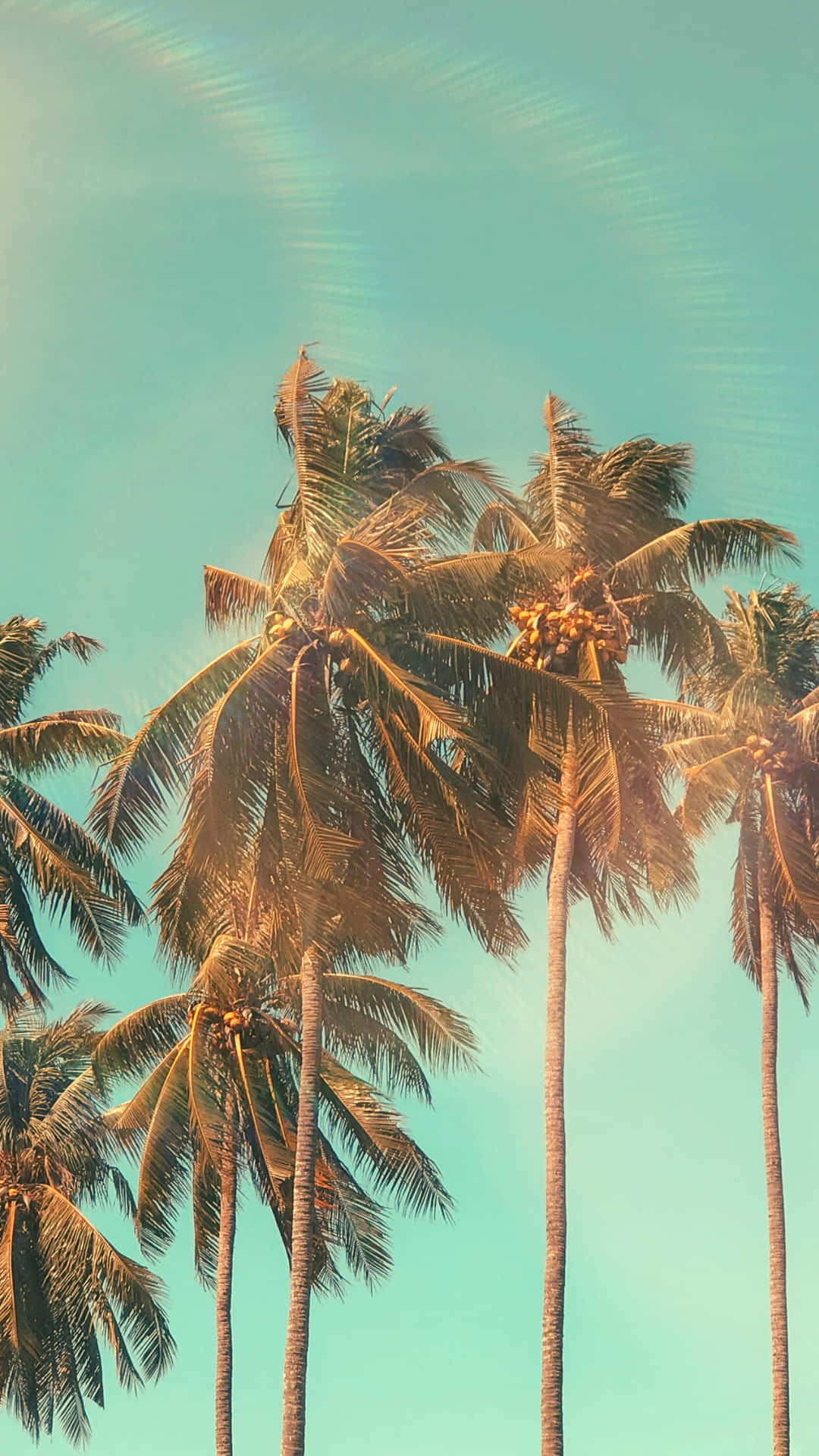"Escapada Serena de Verano" Fondos de pantalla