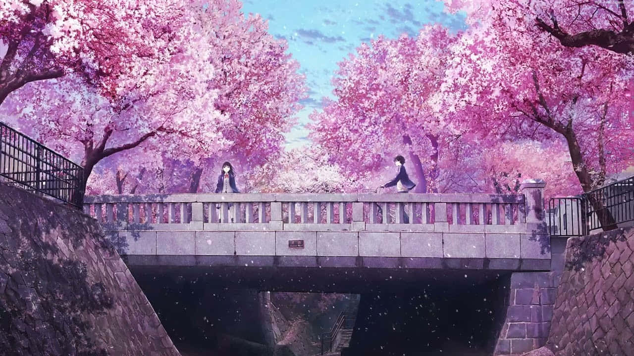Escena Anime de Chica en Puente con Cerezos en Flor Fondos de pantalla