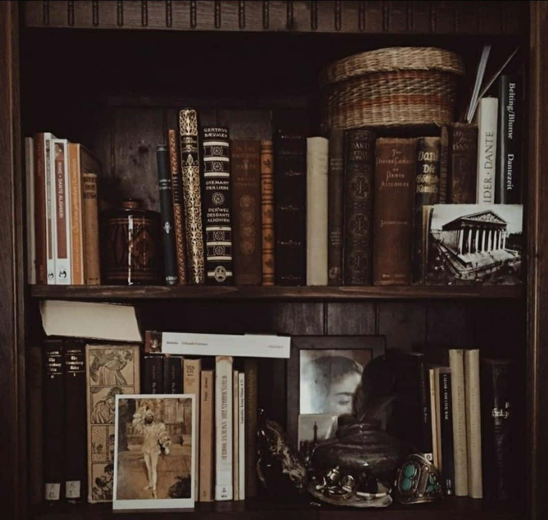 Escena de biblioteca con estética académica oscura Fondos de pantalla