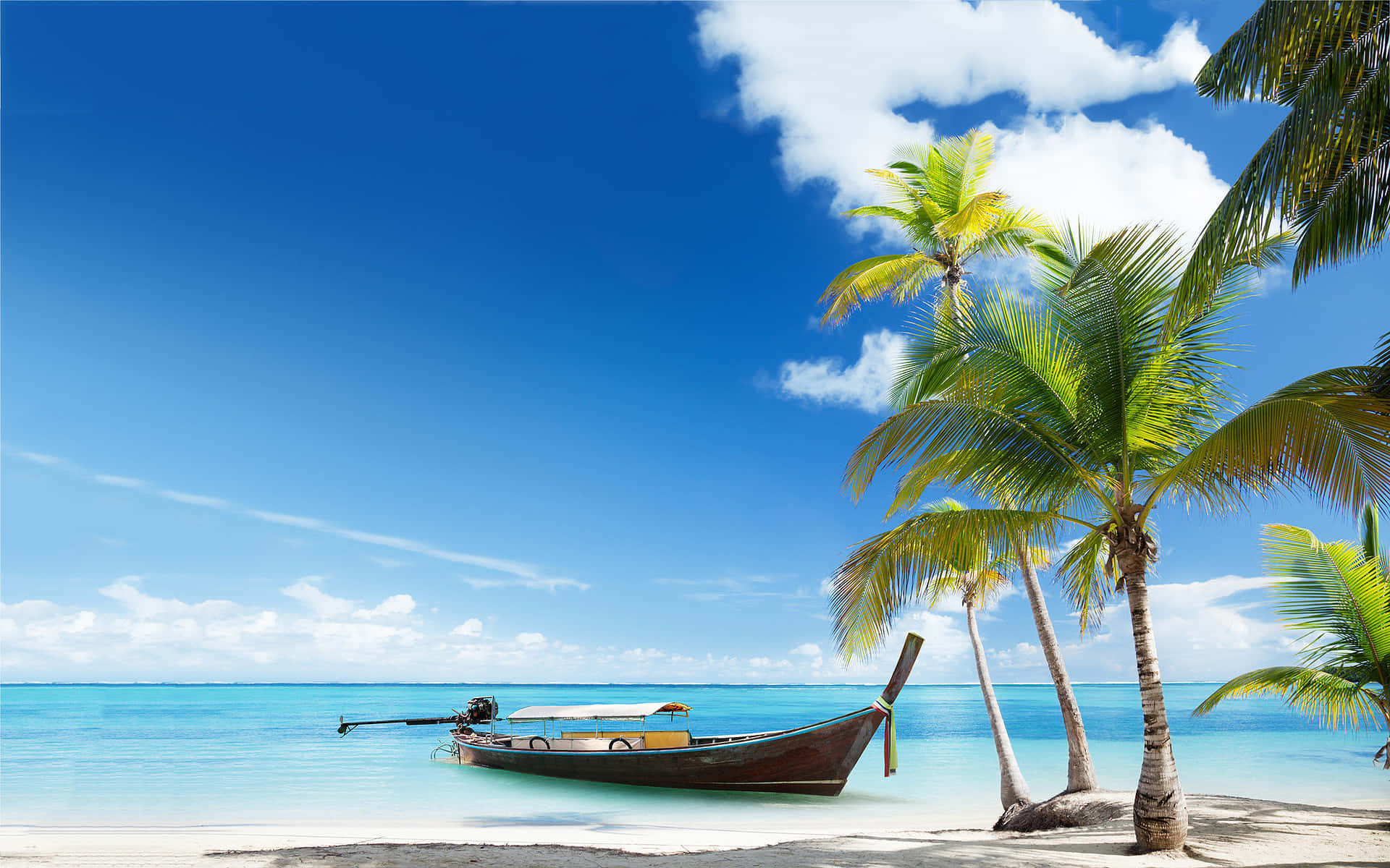Escena de playa con cocotero y bote Fondos de pantalla