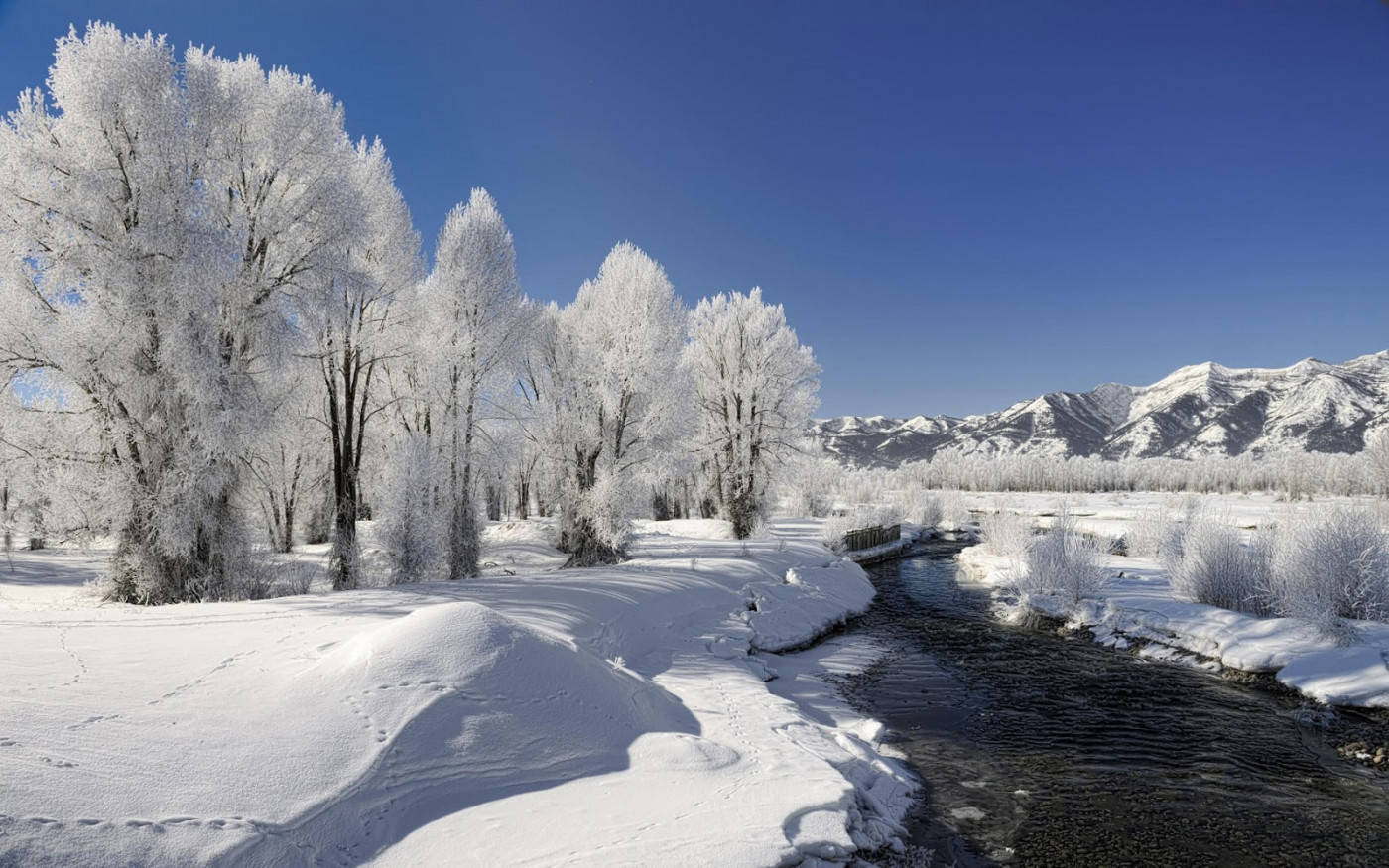 Escena invernal de naturaleza congelada Fondos de pantalla