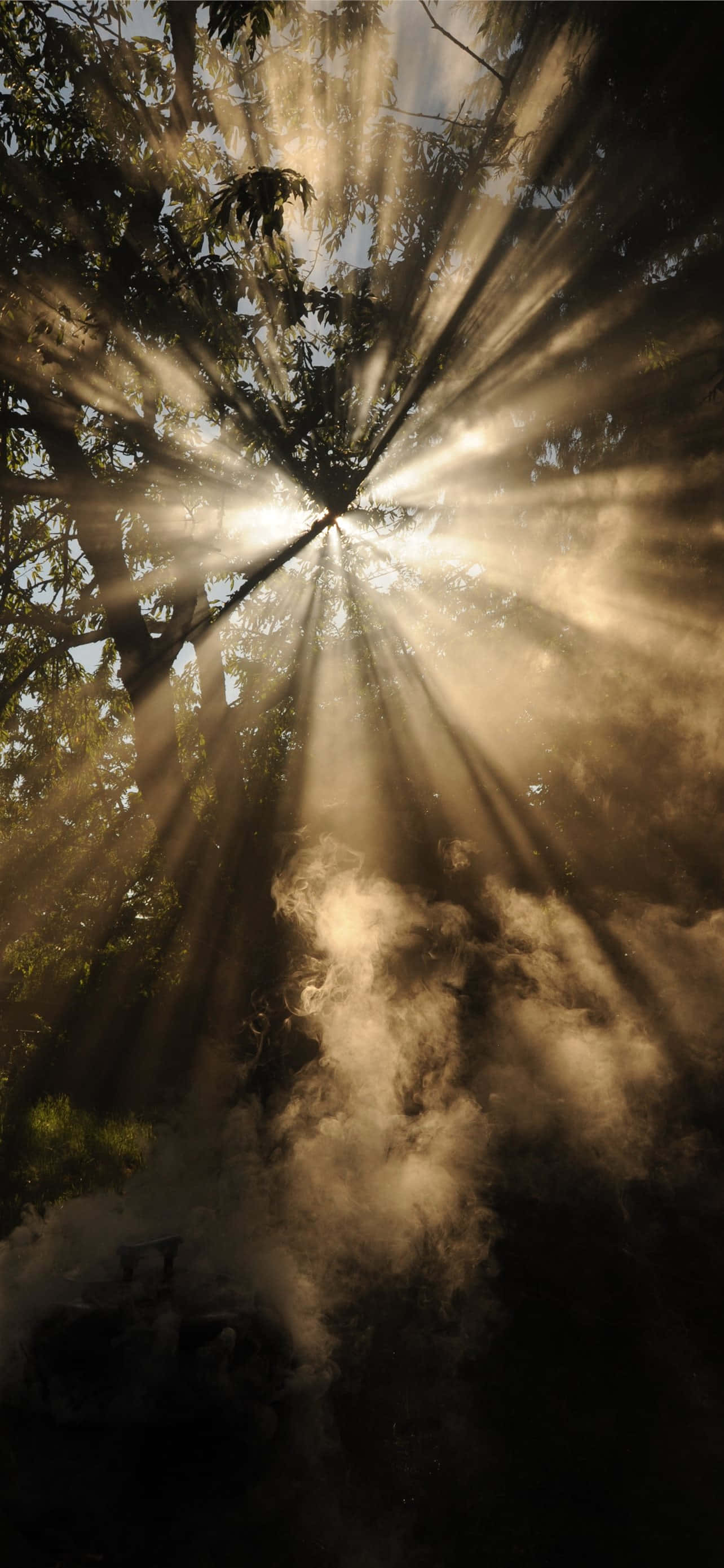 Escena Serena con Rayos de Sol Fondos de pantalla