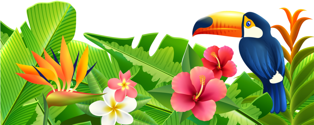 Escena tropical de verano en el paraíso Fondos de pantalla