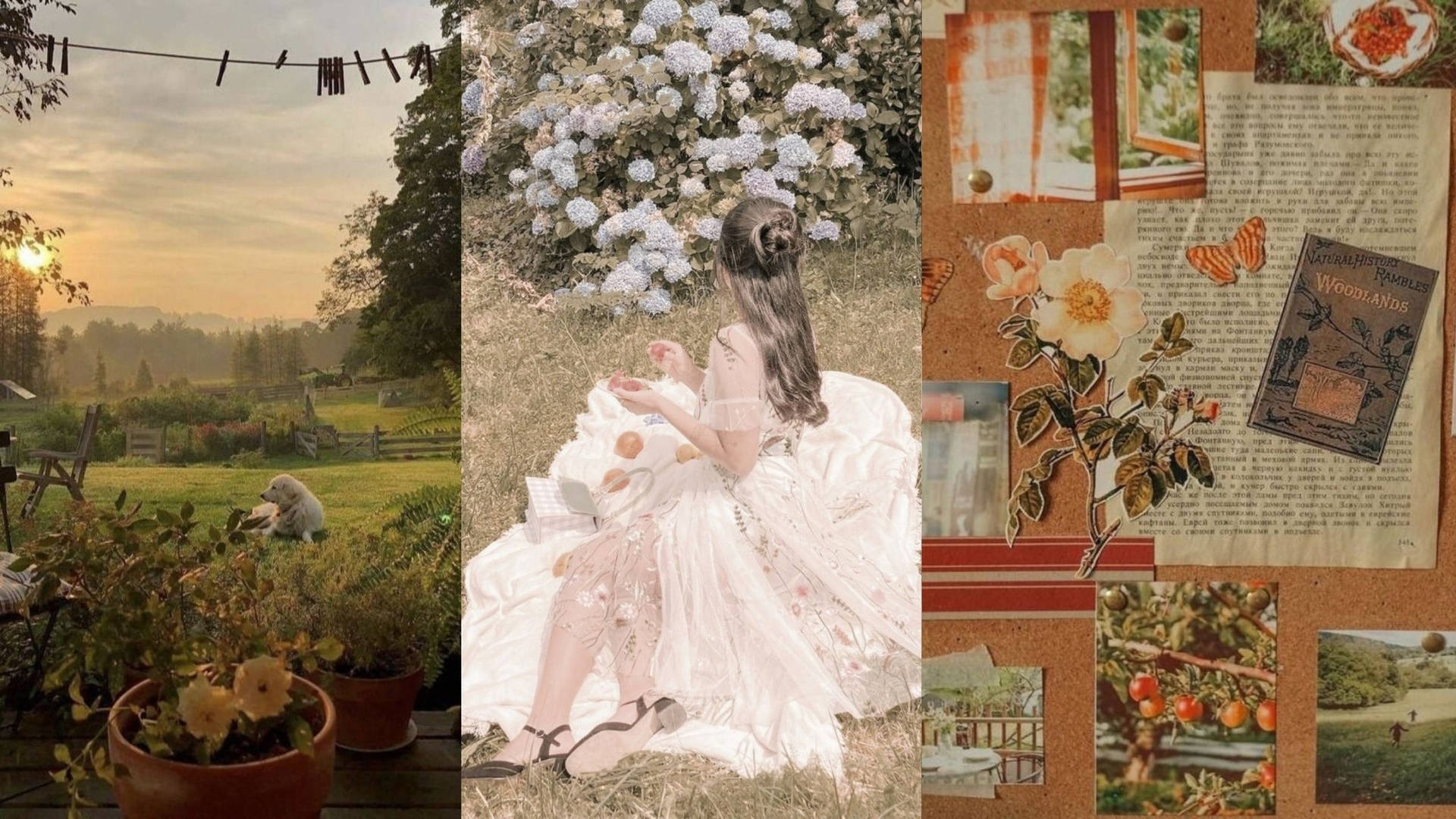 Escritorio Campestre con Vestido Campesino y Álbum de Recortes Cottagecore Fondos de pantalla