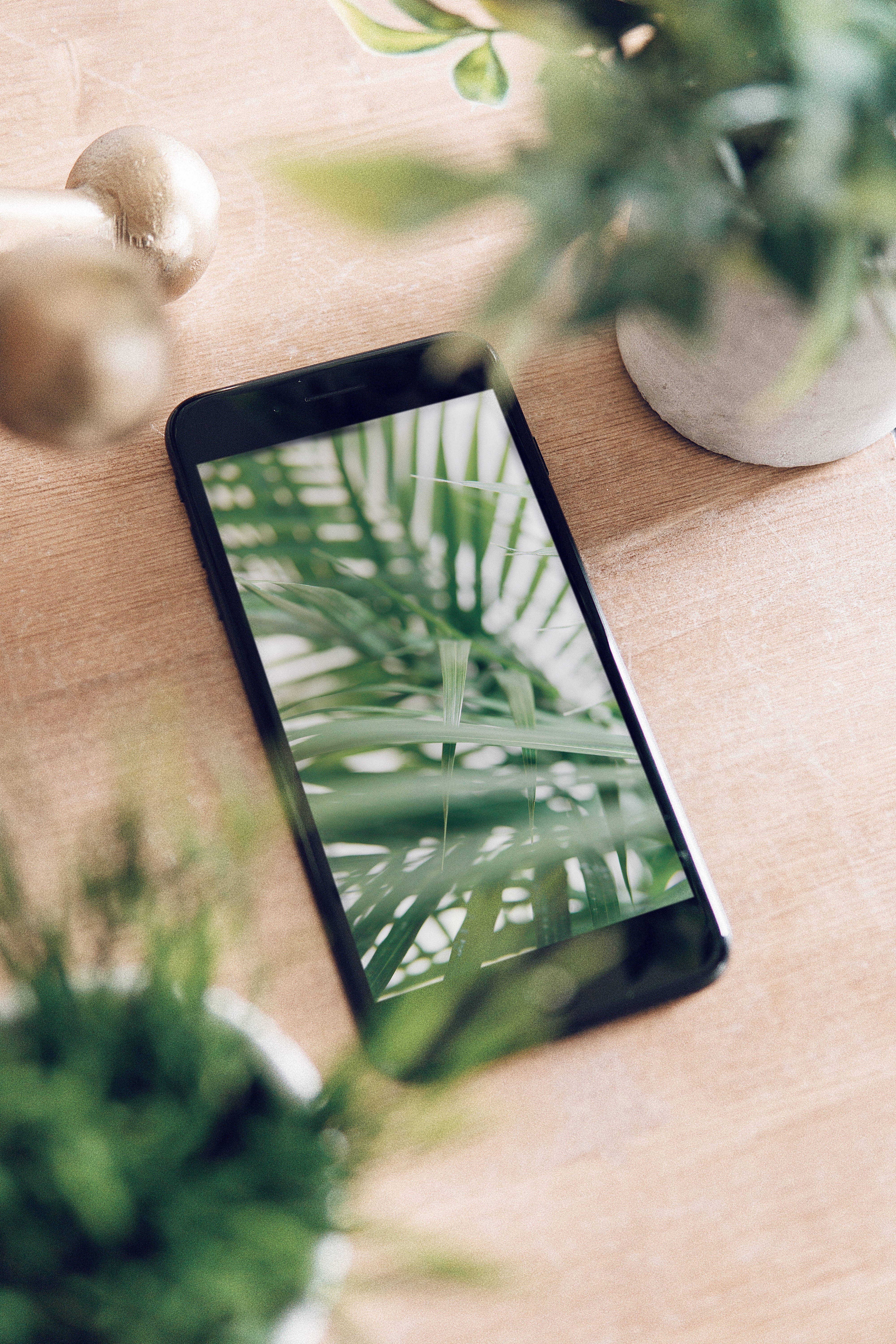 Escritorio con iPhone y Plantas Fondos de pantalla