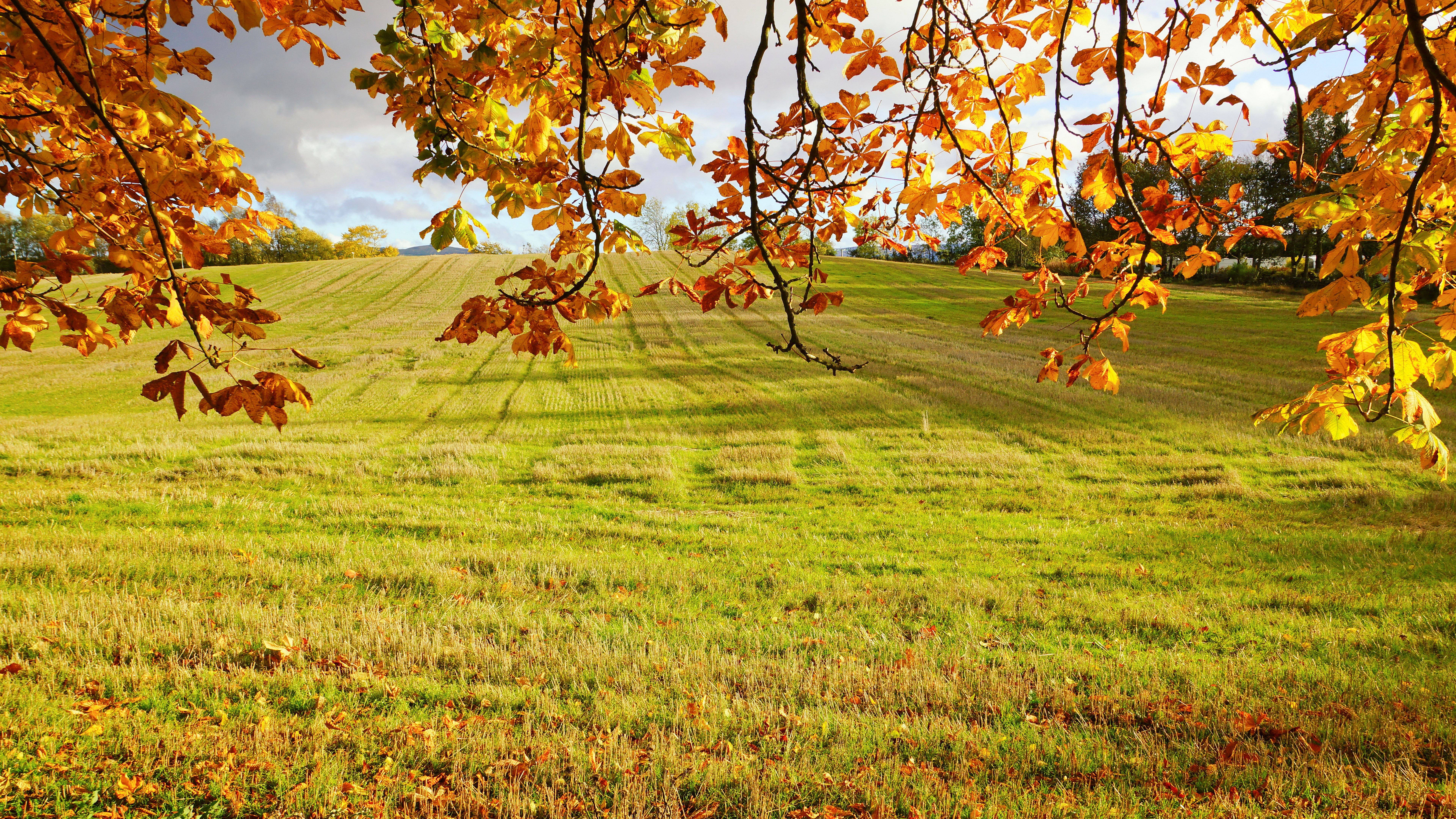 Escritorio de campo en resolución Ultra HD 8K 7680x4320 Fondos de pantalla